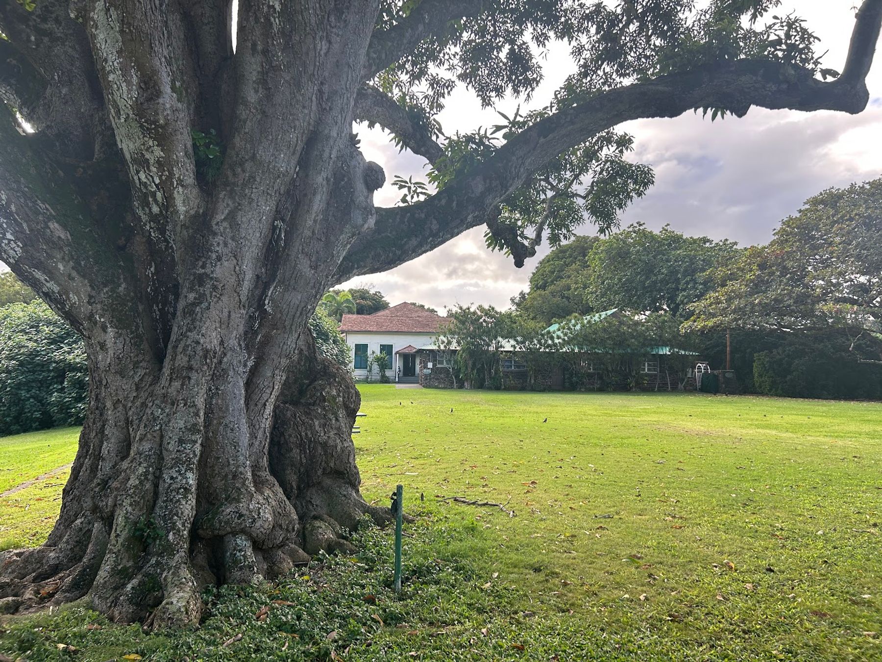 Photo 6 of Queen Emma Summer Palace in Mānoa, Makiki & Nuʻuanu, Oahu