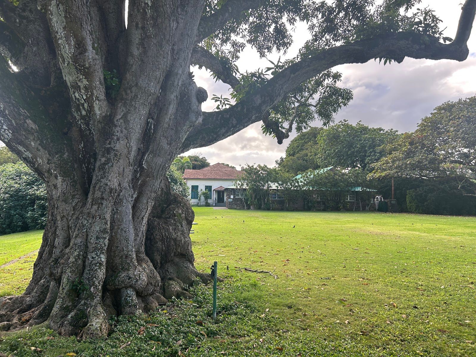Photo 6 of Queen Emma Summer Palace in Mānoa, Makiki & Nuʻuanu, Oahu
