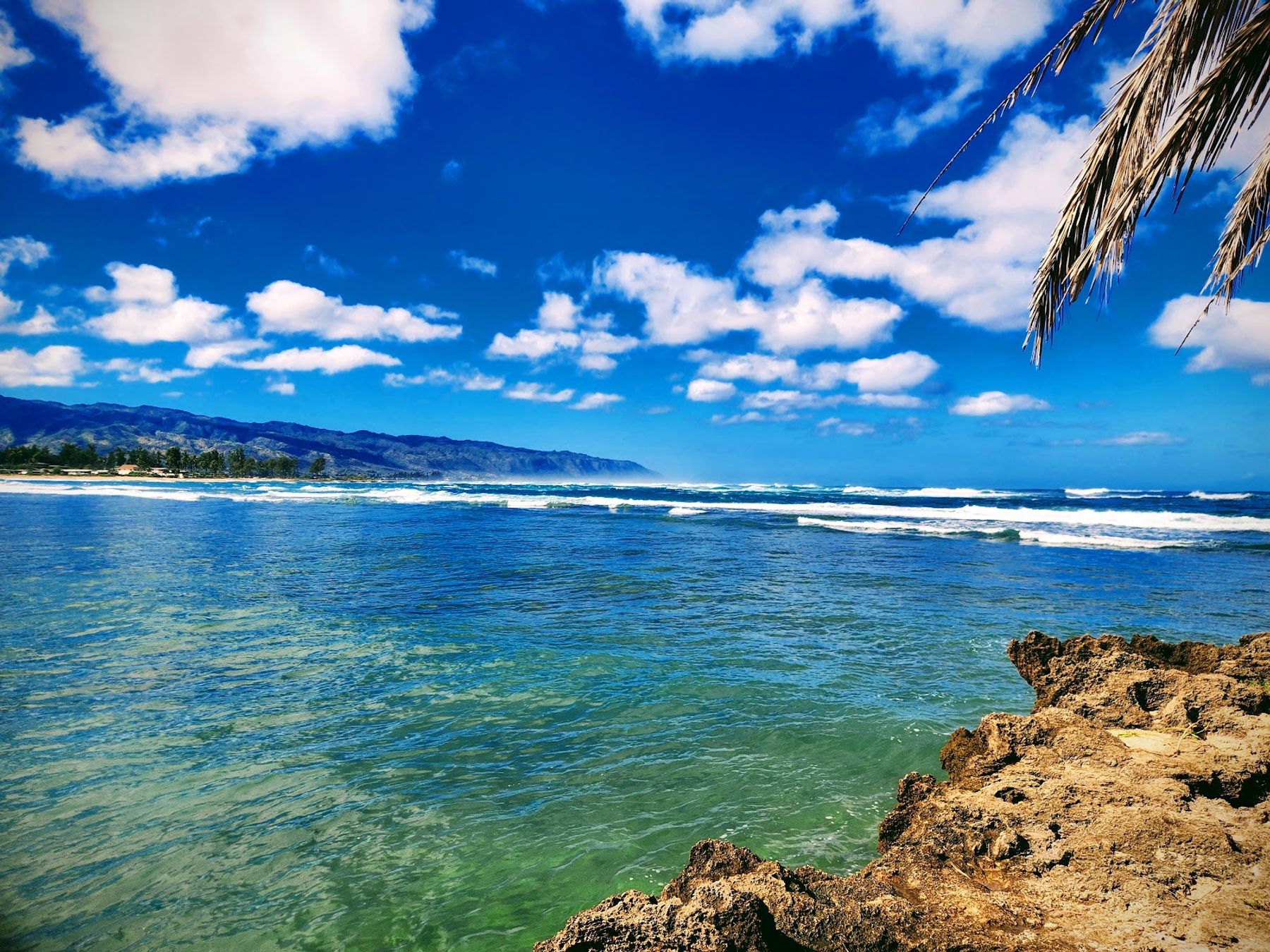 Photo 3 of Haleʻiwa Aliʻi Beach Park in Haleʻiwa, Oahu