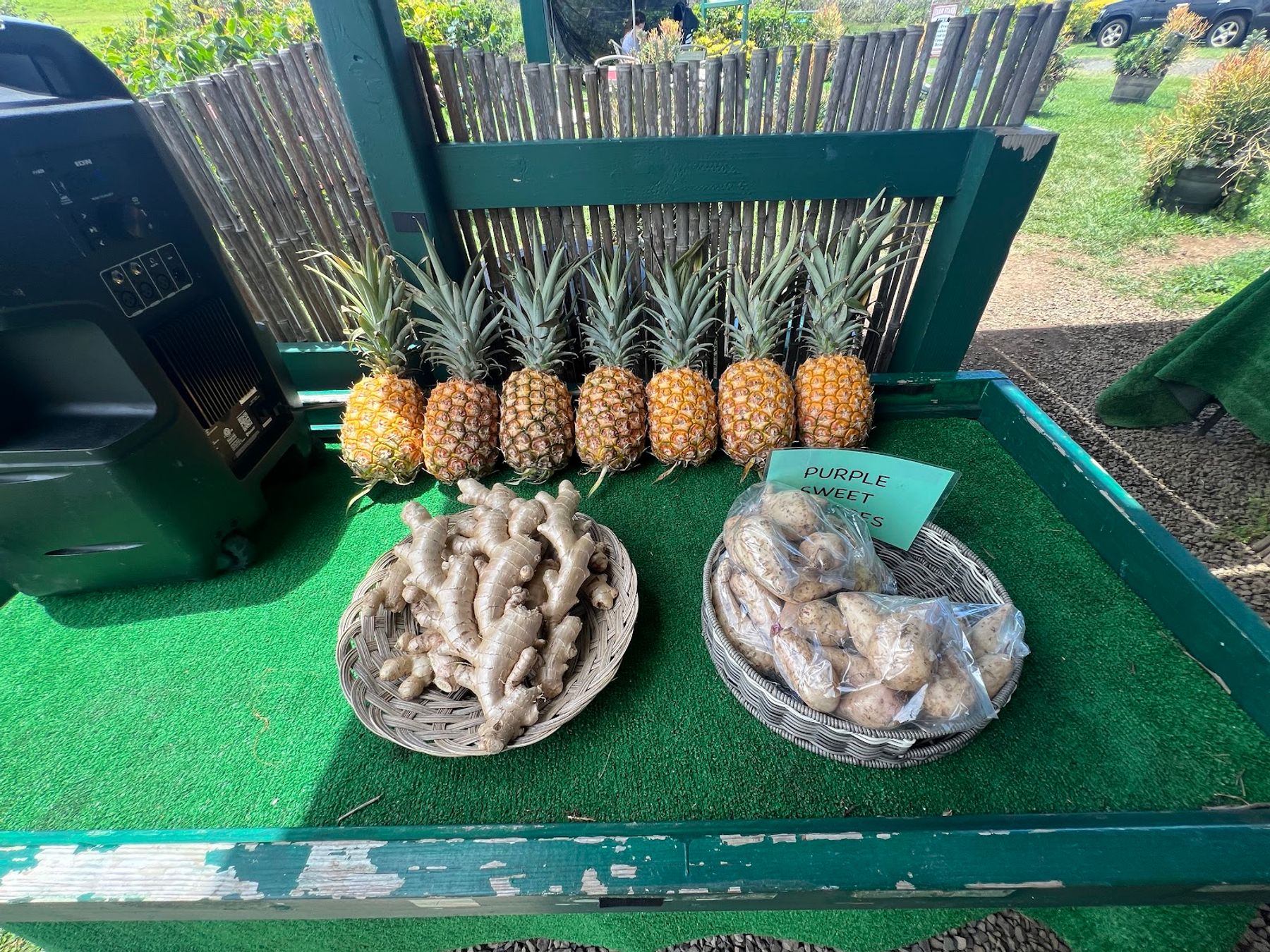 Photo 2 of Fresh Off the Grid, Kohala. in North Kohala, Big Island
