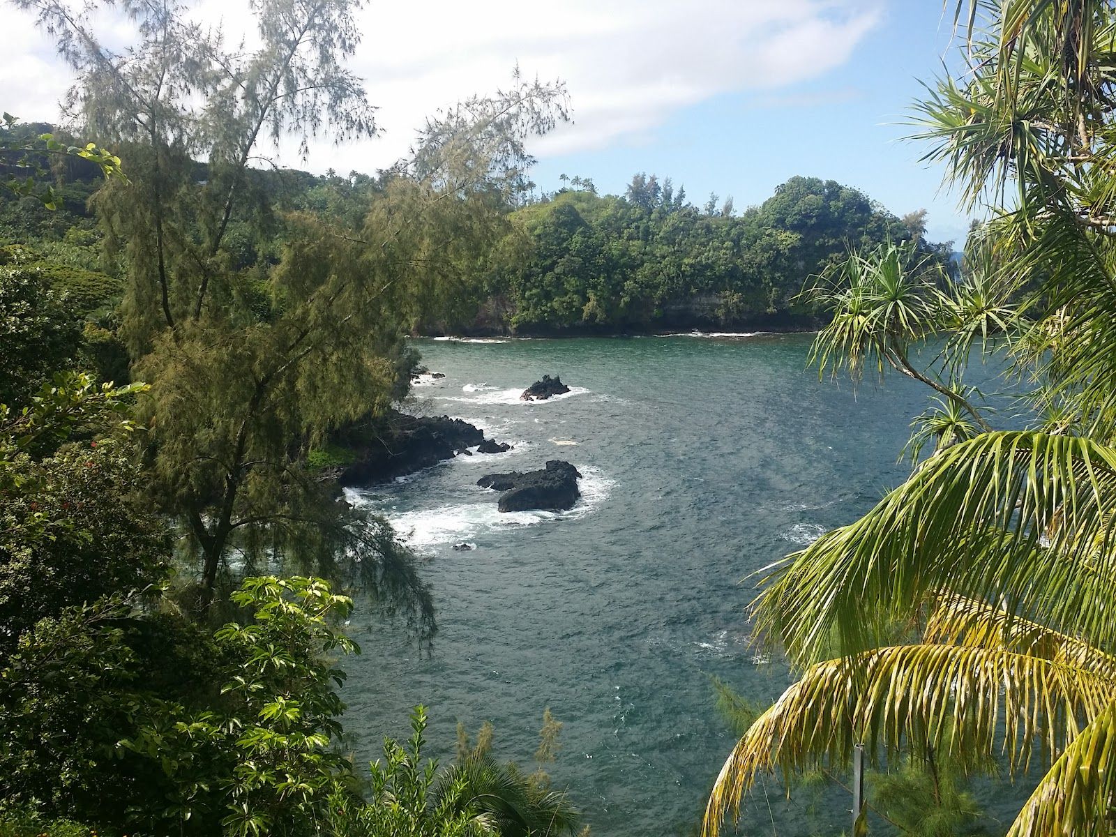 Photo 10 of Onomea Bay Trail in Greater Hilo, Big Island