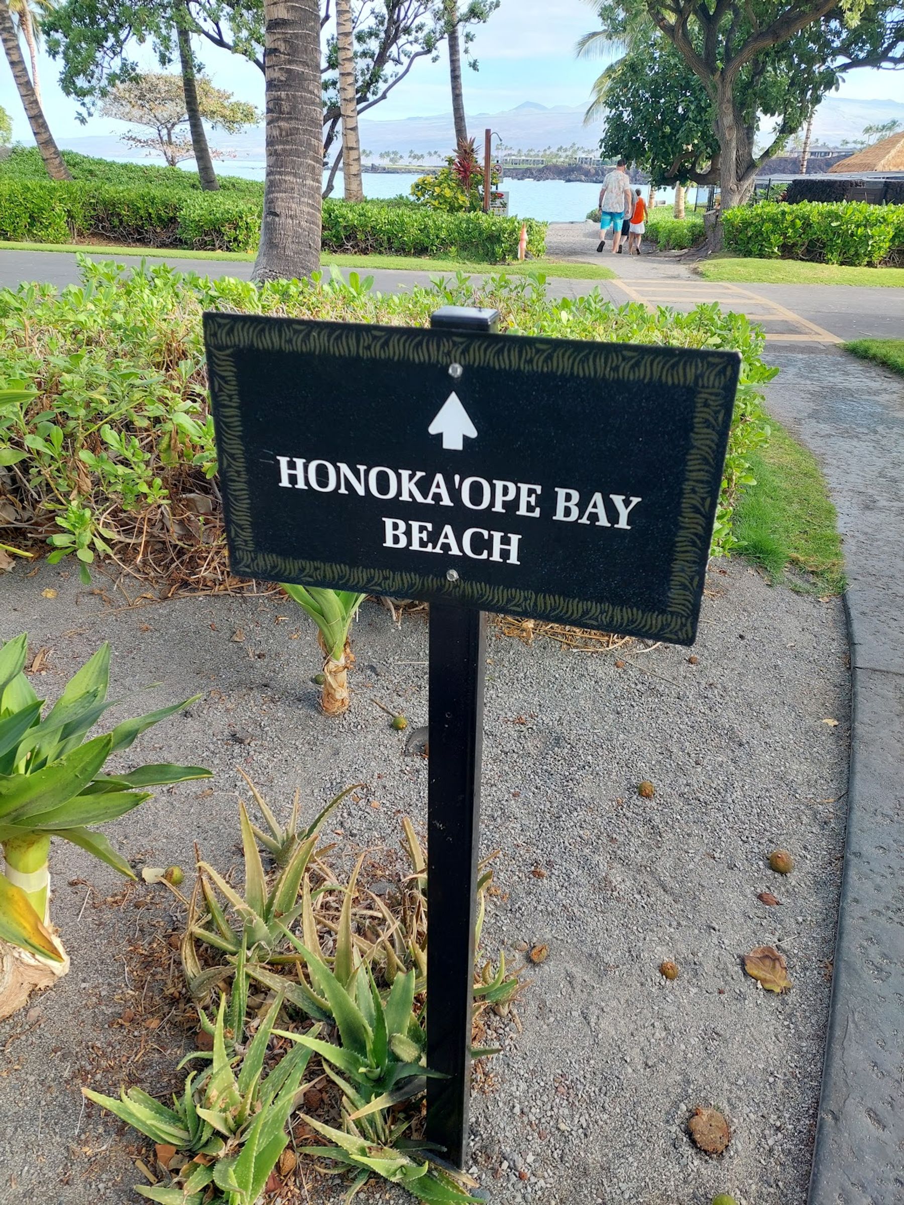 Photo 10 of 49 Black Sand Beach in Waikoloa, Big Island