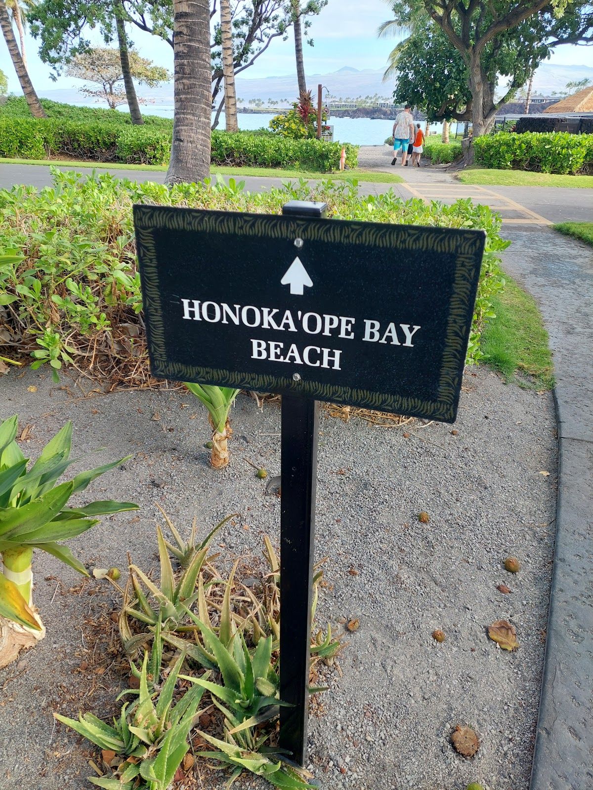 Photo 10 of 49 Black Sand Beach in Waikoloa, Big Island