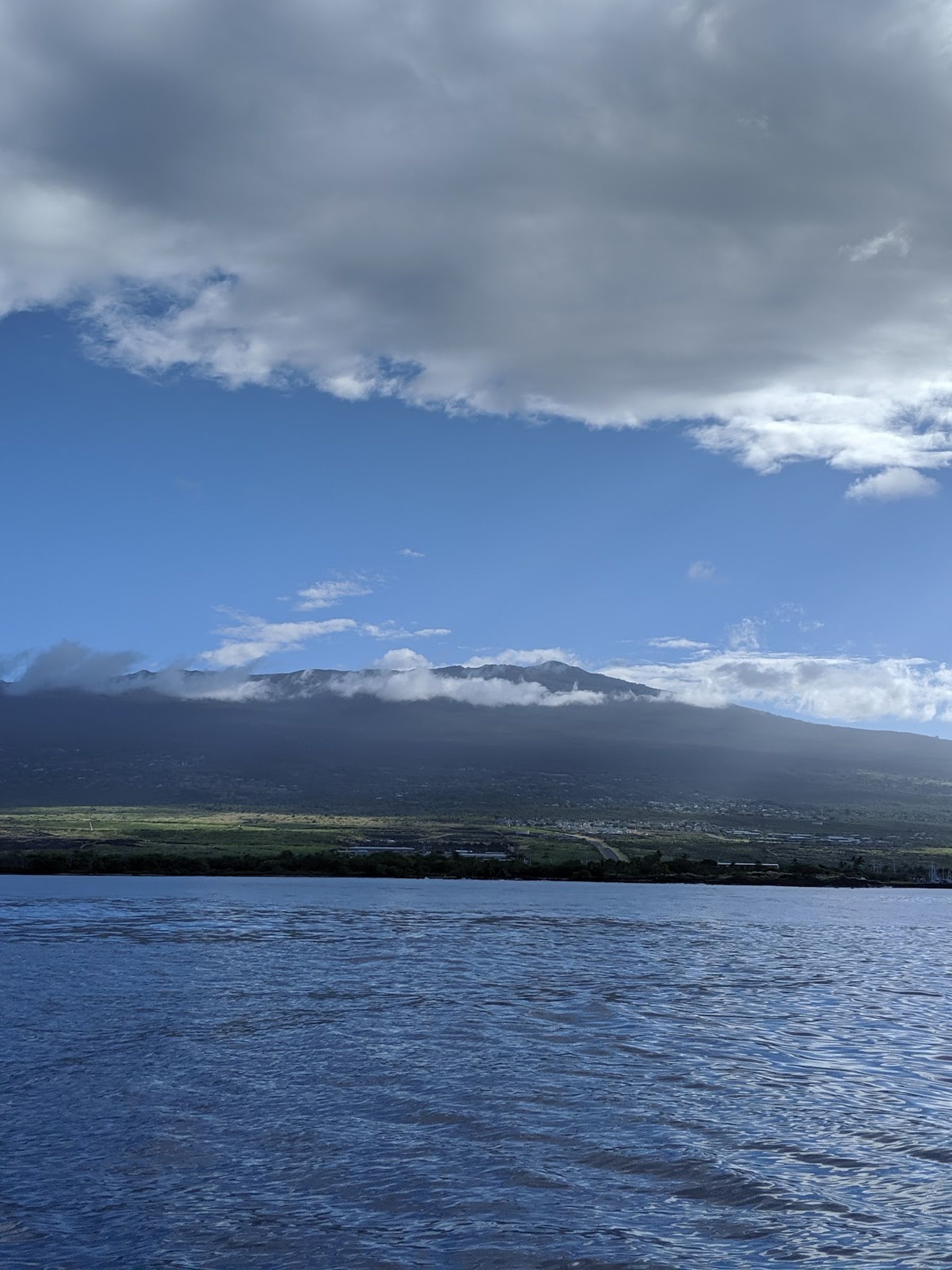 Photo 6 of Captain Dan McSweeney's Whale Watching Adventures in Kailua-Kona, Big Island