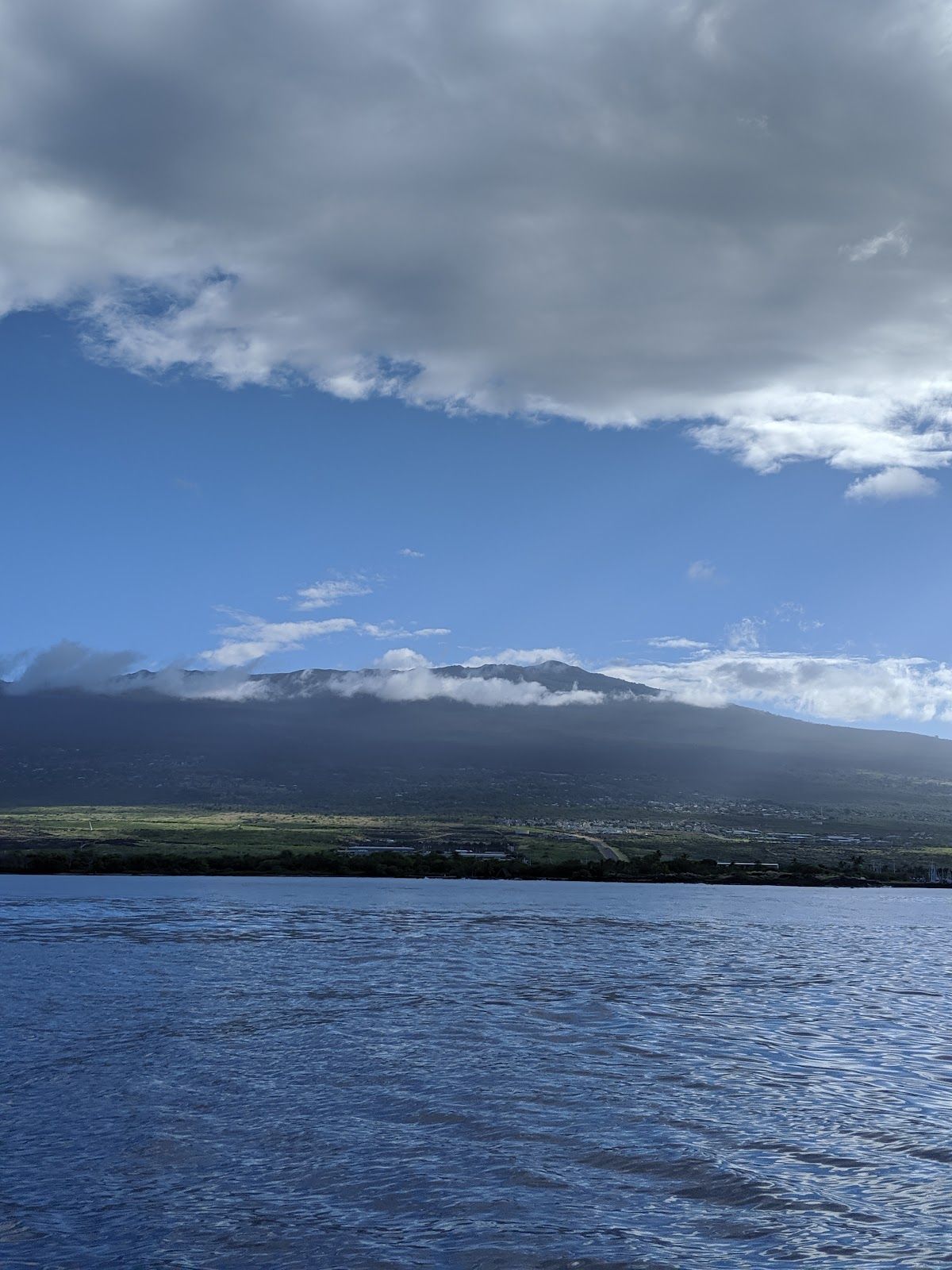 Photo 6 of Captain Dan McSweeney's Whale Watching Adventures in Kailua-Kona, Big Island