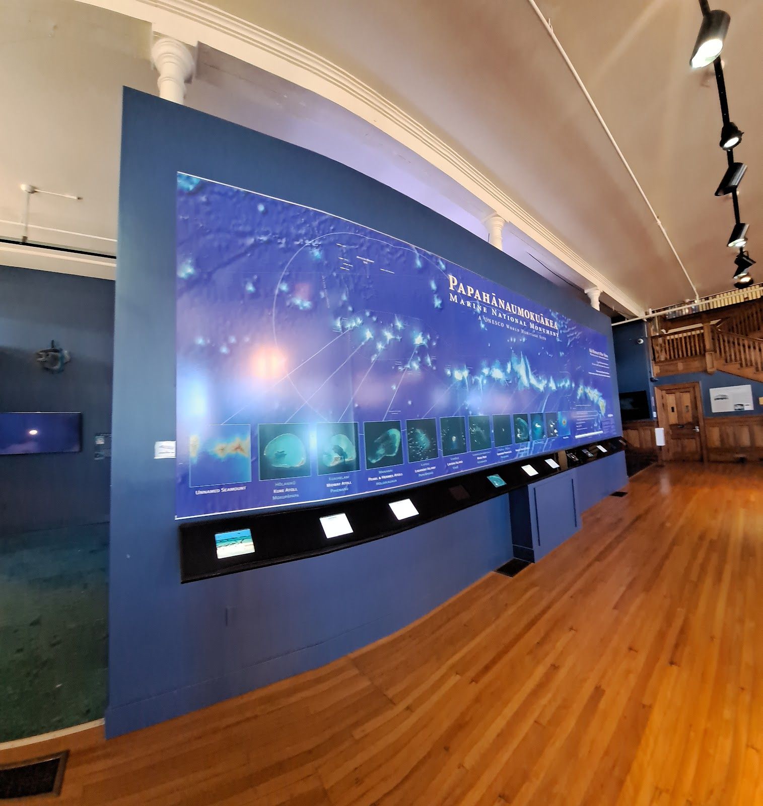 Photo 7 of Mokupāpapa Discovery Center in Hilo, Big Island