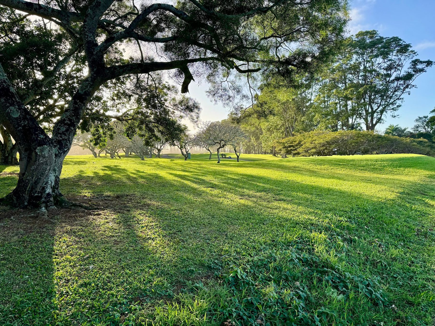 Princeville Makai Golf Club in Princeville, Kaua‘i photo 3