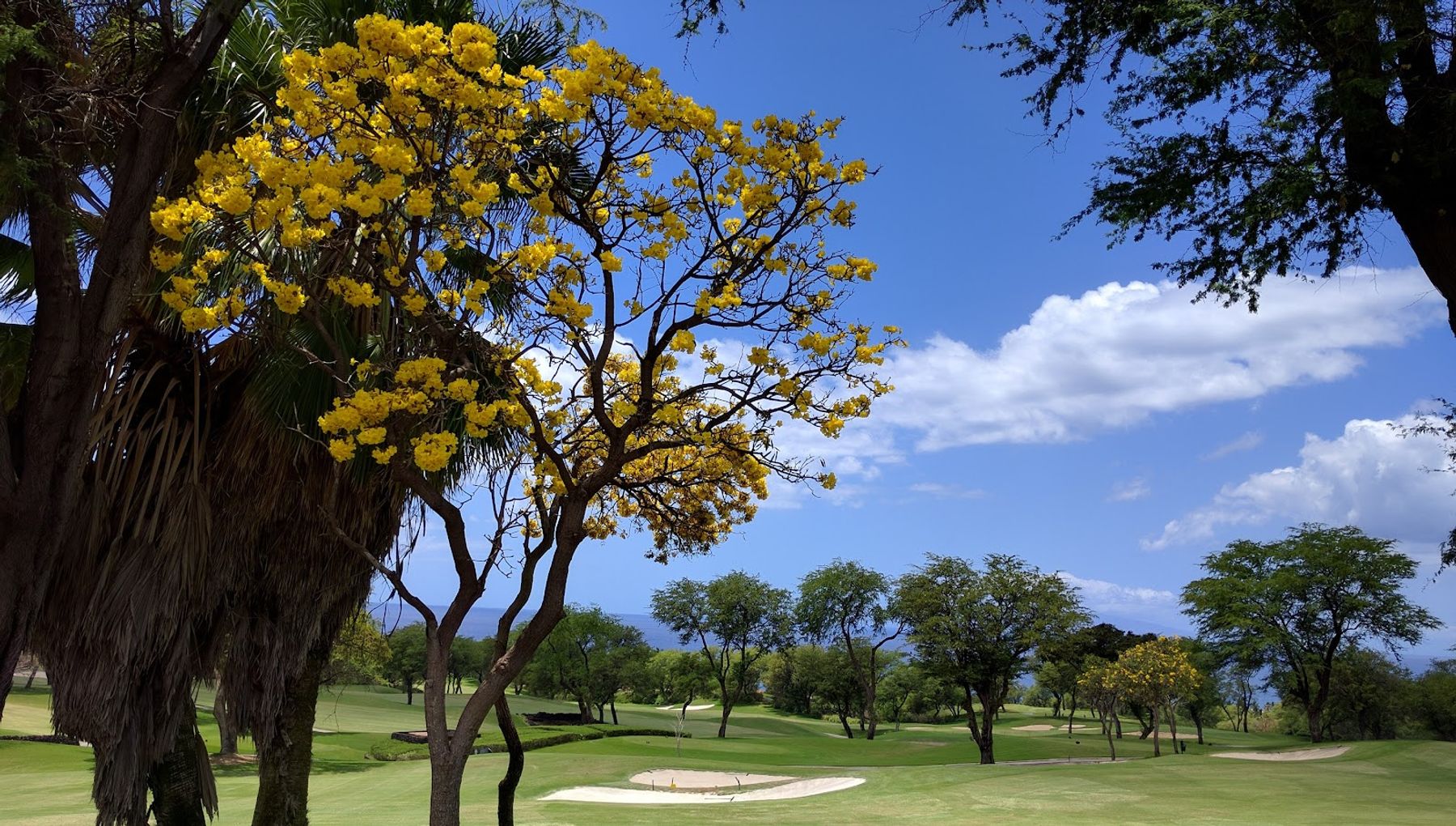 Photo 4 of Wailea Golf Club - Gold & Emerald Courses in Wailea, Maui