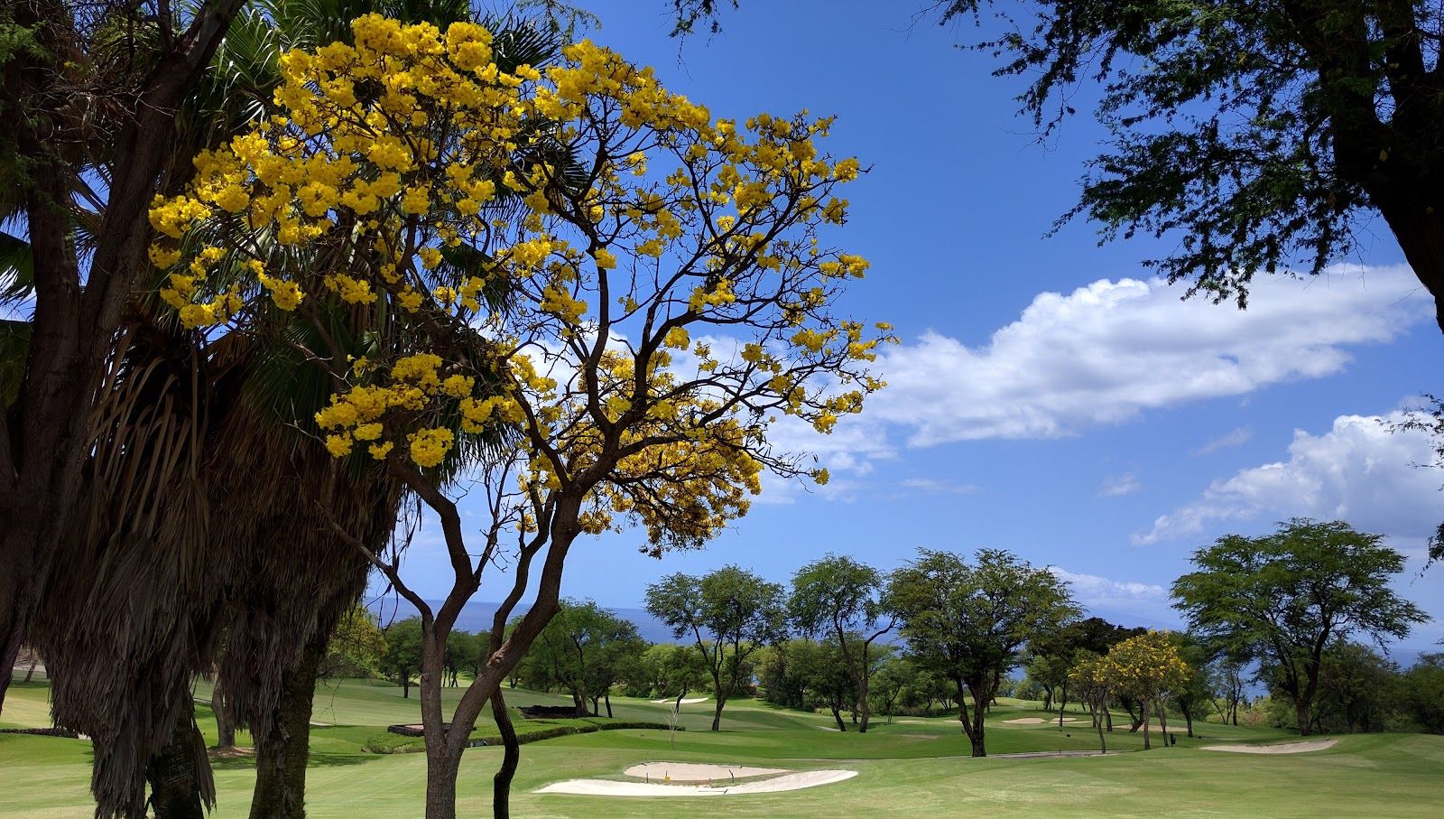 Photo 4 of Wailea Golf Club - Gold & Emerald Courses in Wailea, Maui