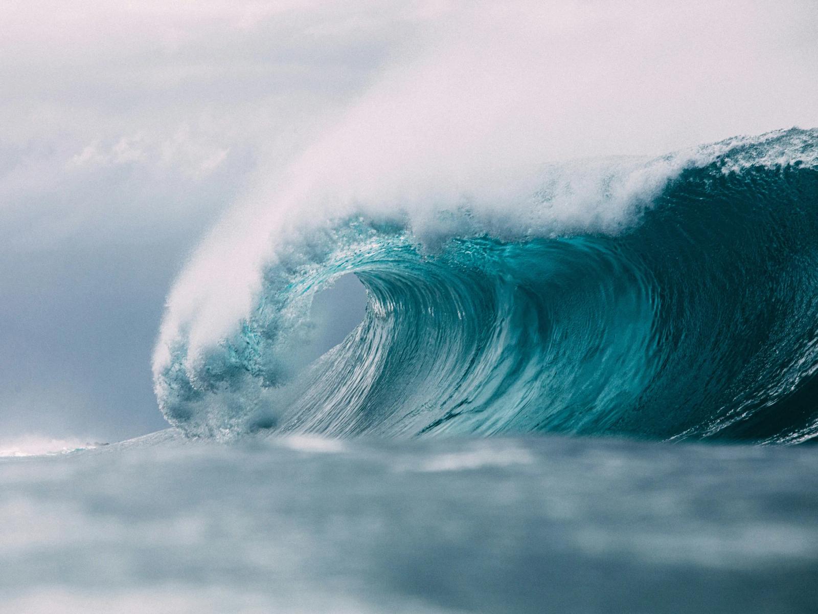 What to Know About North Shore Surf Season