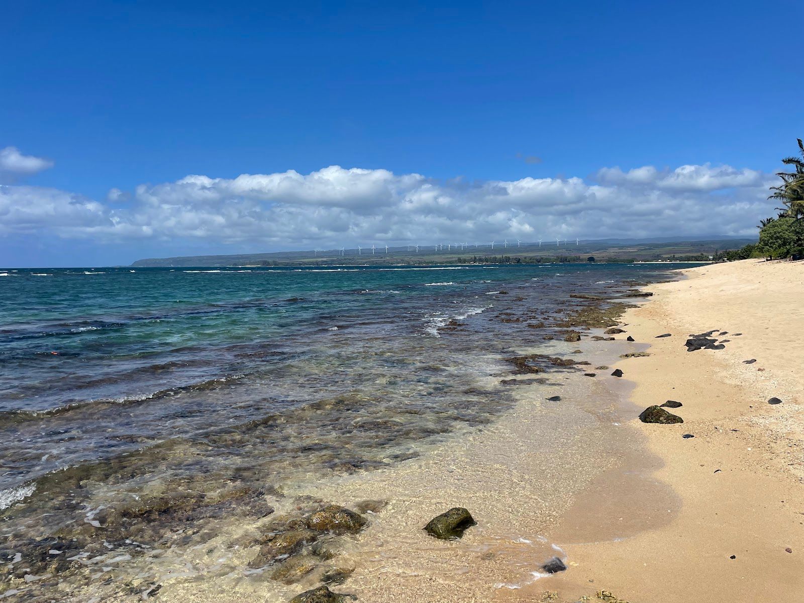 Photo 1 of ʻĀweoweo Beach Park in Waialua & Mokulēʻia, Oahu