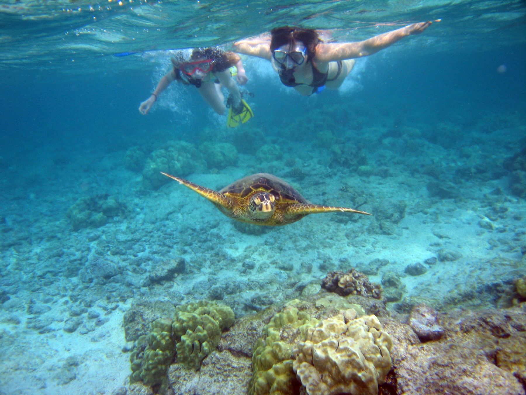 Photo 3 of Kaanapali Ocean Adventures in Kāʻanapali, Maui