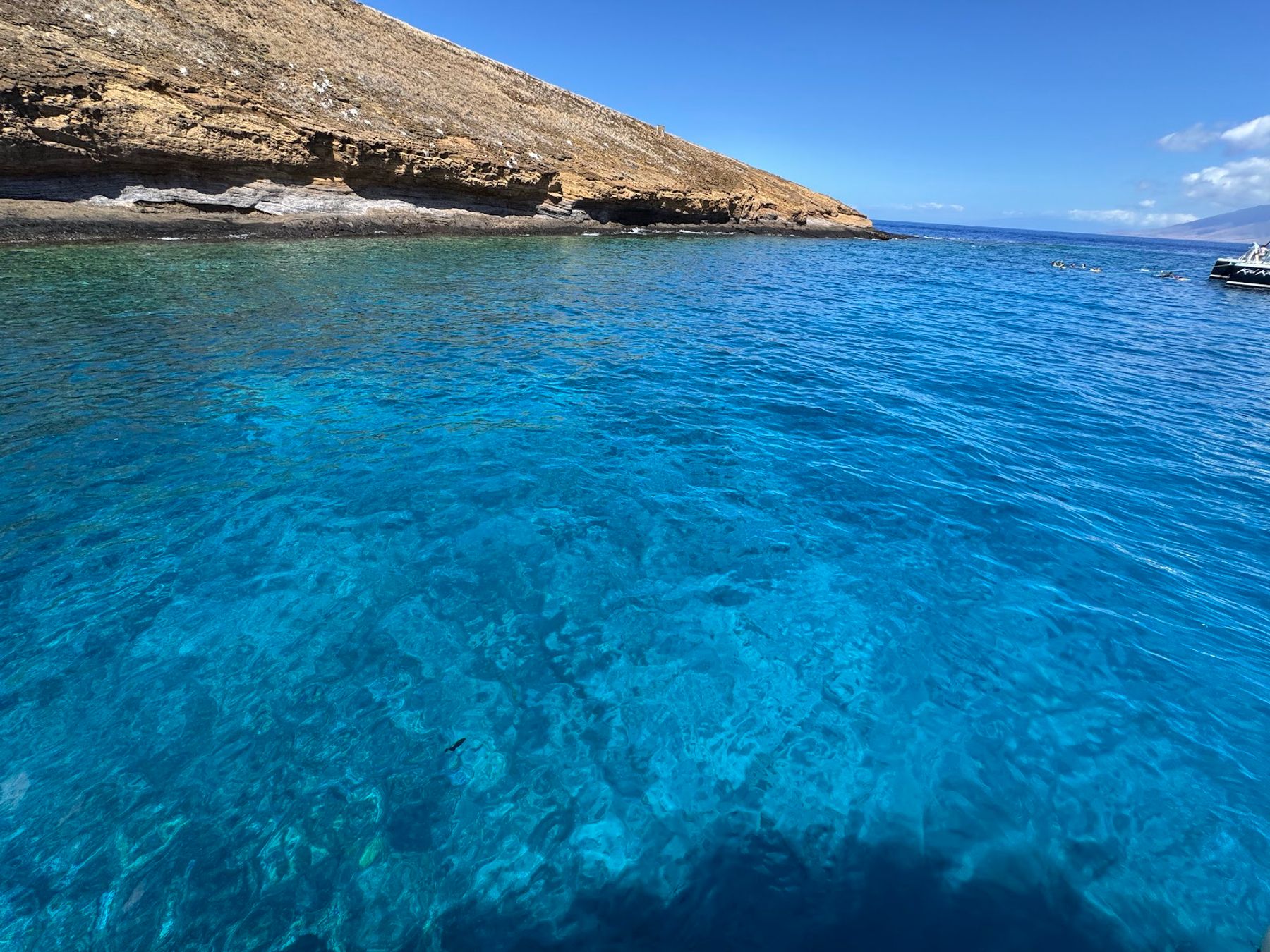 Photo 3 of Maui Snorkeling in Māʻalaea, Maui