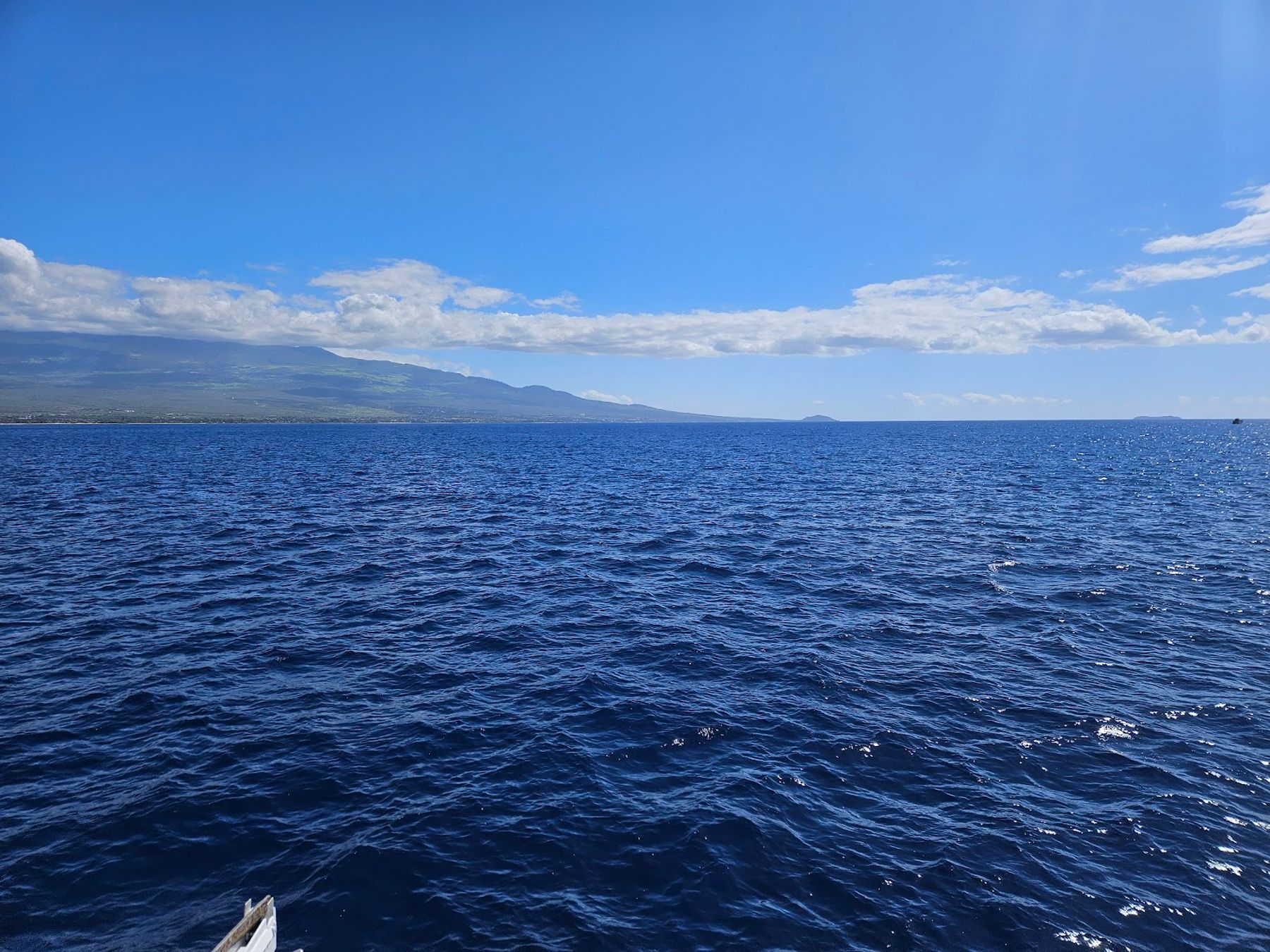Photo 6 of Quicksilver in Māʻalaea, Maui