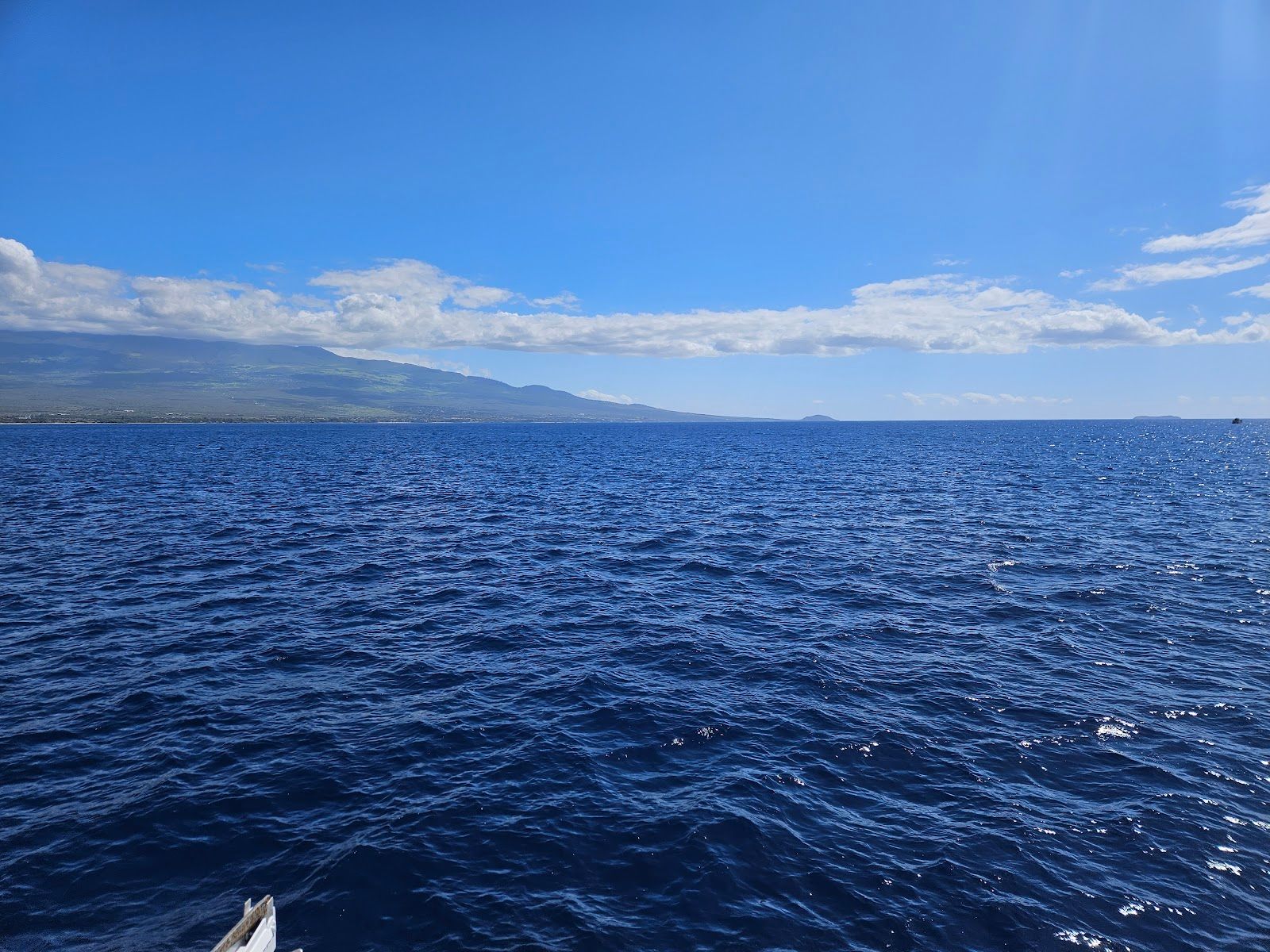 Photo 6 of Quicksilver in Māʻalaea, Maui