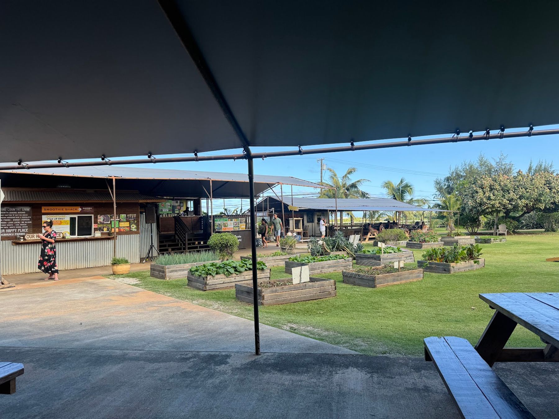 Photo 7 of Kahuku Farms in Kahuku & Turtle Bay, Oahu