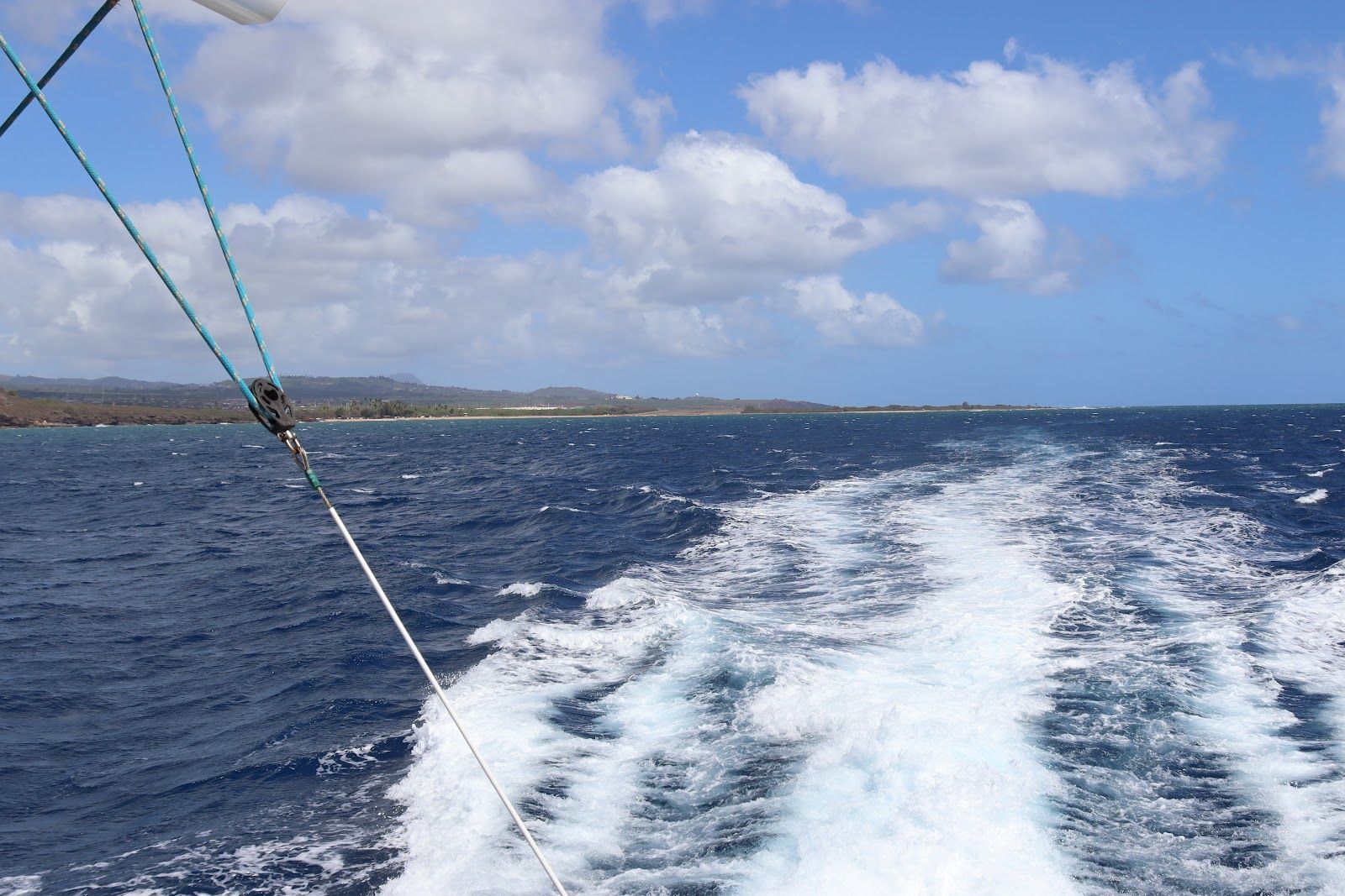 Kauai Sea Tours in Eleele, Kaua‘i photo 6