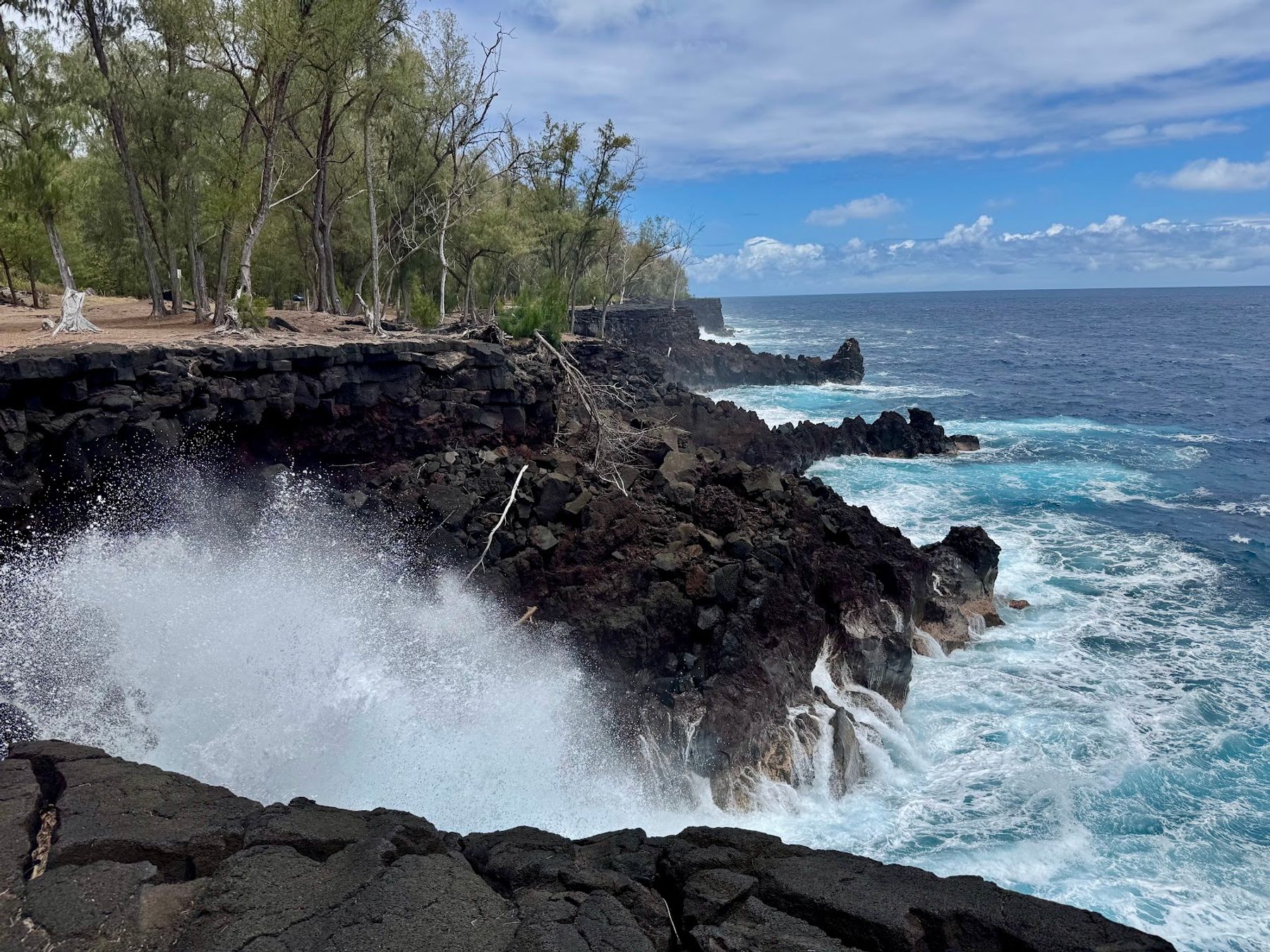 Photo 6 of MacKenzie State Recreation Area in Kalapana, Big Island