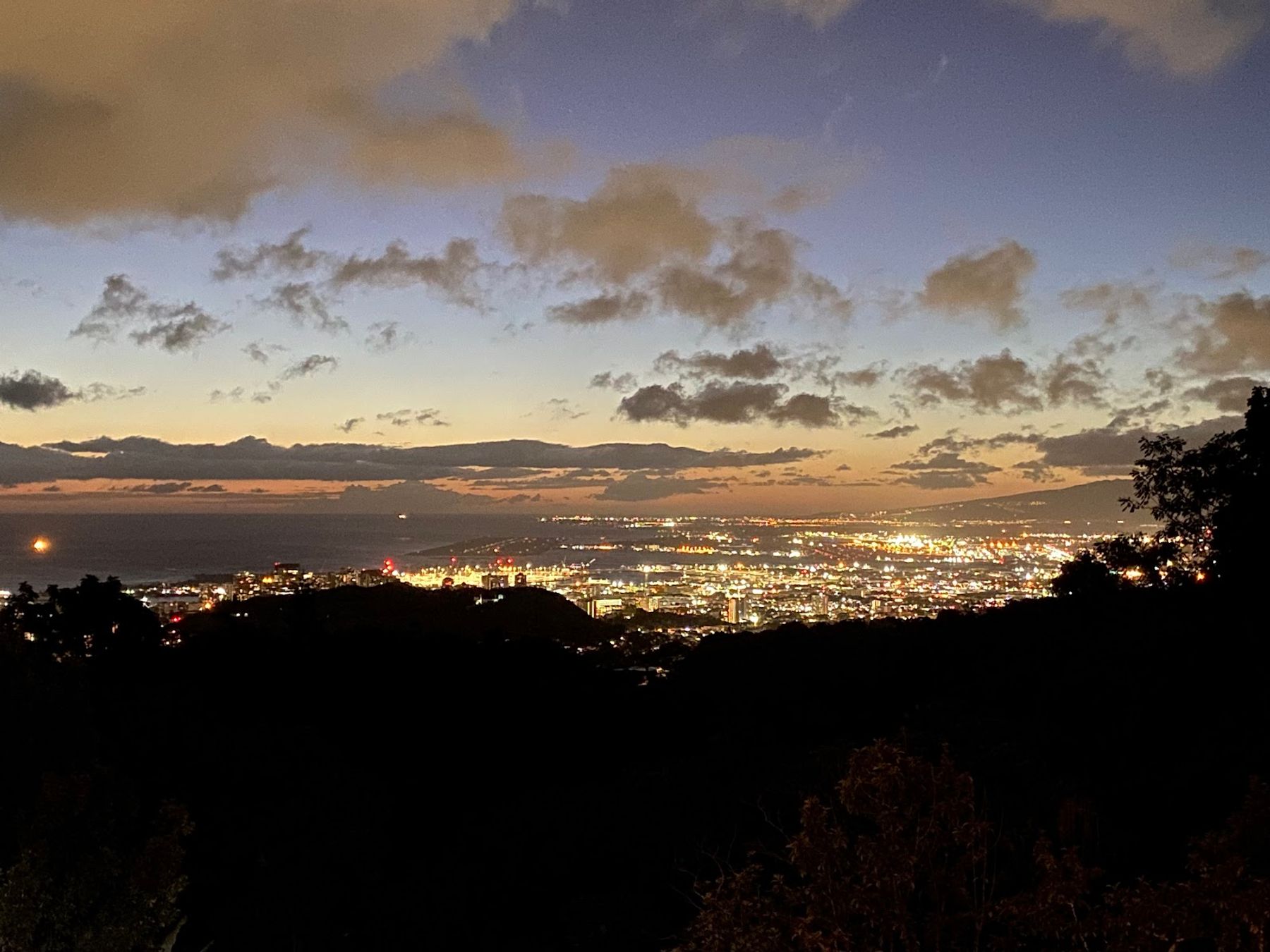 Photo 4 of Experience Nutridge in Mānoa, Makiki & Nuʻuanu, Oahu