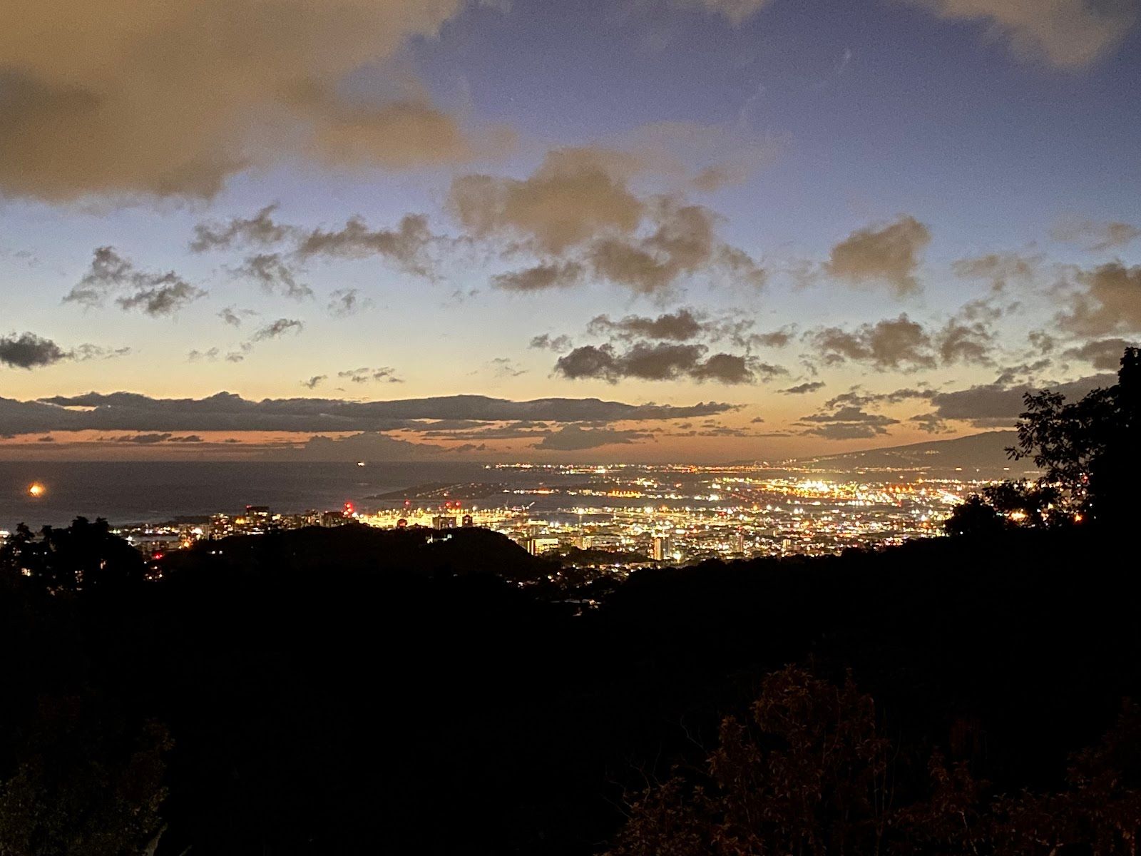 Photo 4 of Experience Nutridge in Mānoa, Makiki & Nuʻuanu, Oahu