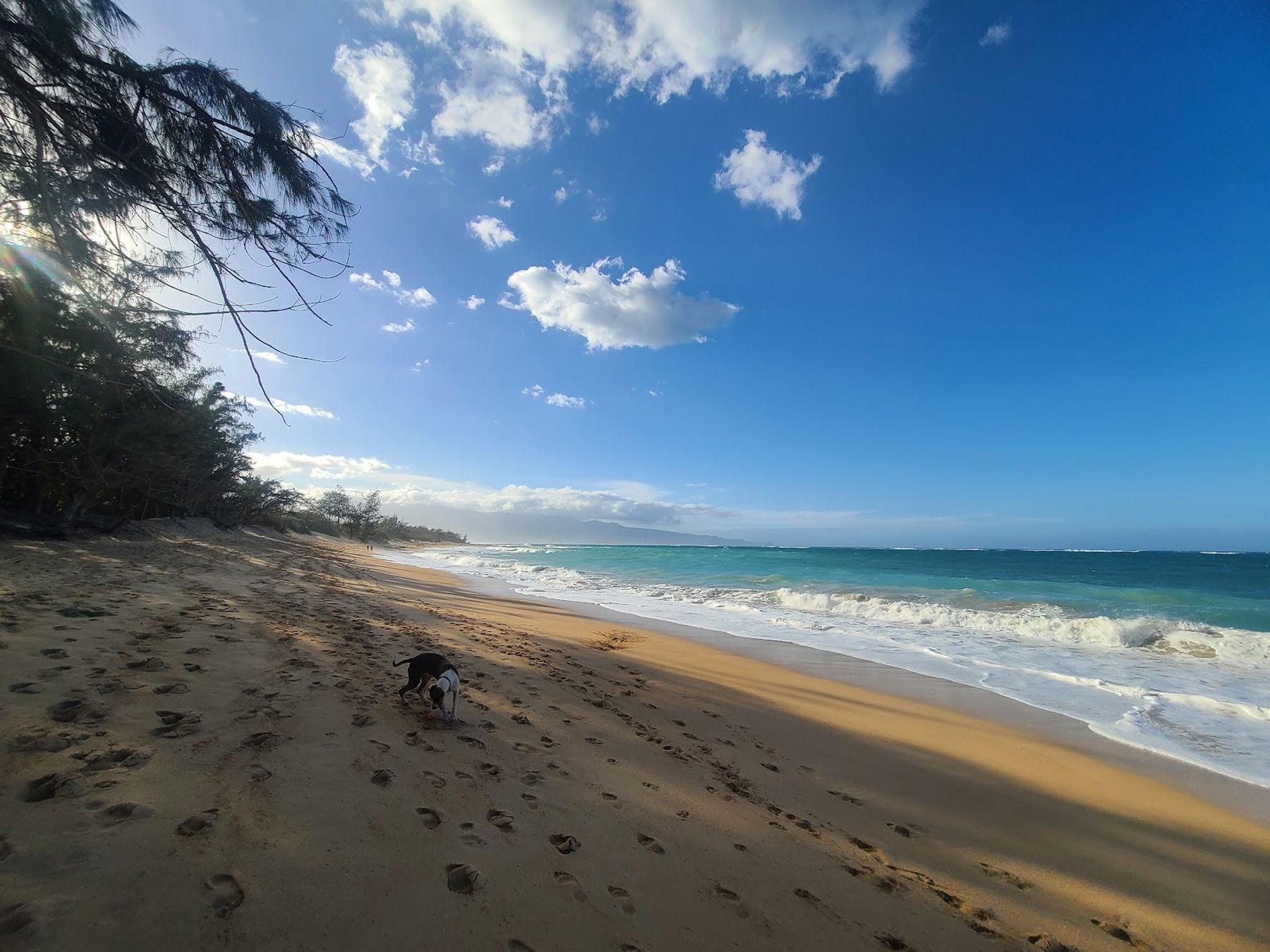 Photo 3 of Baldwin Beach Park in Pāʻia, Maui