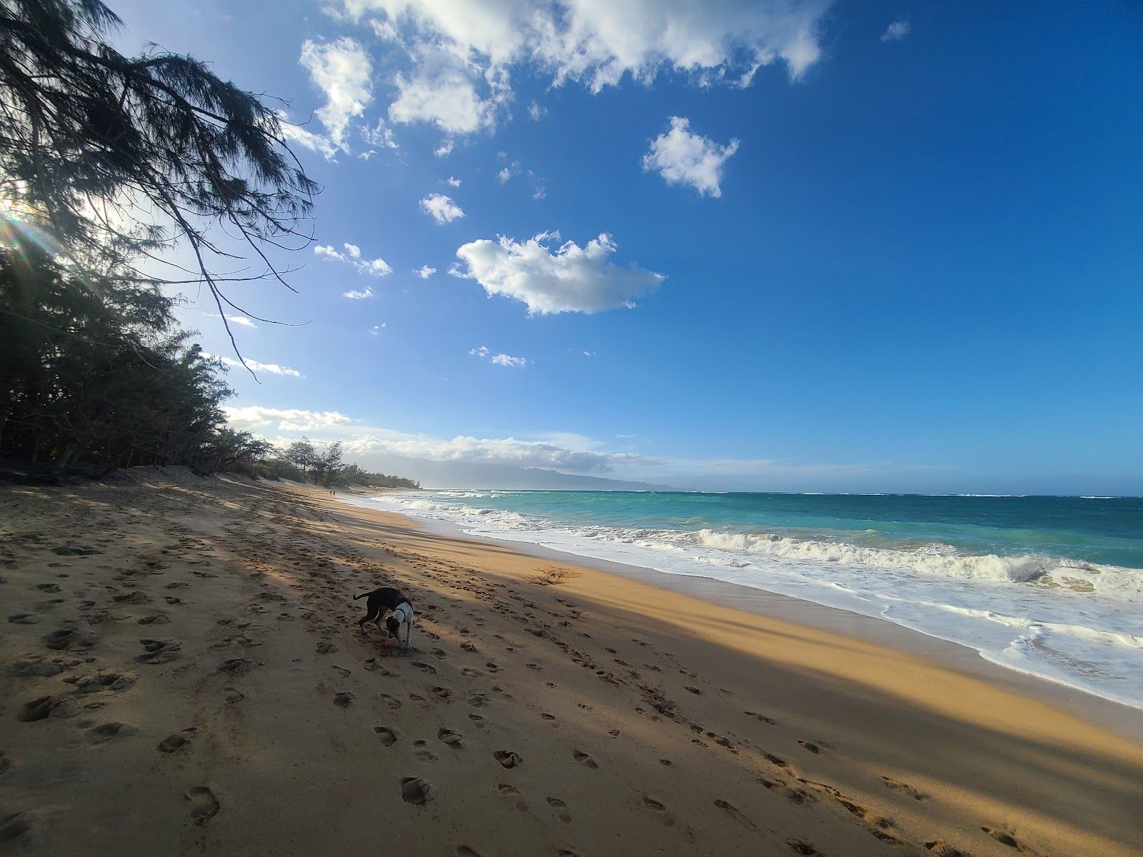 Photo 3 of Baldwin Beach Park in Pāʻia, Maui