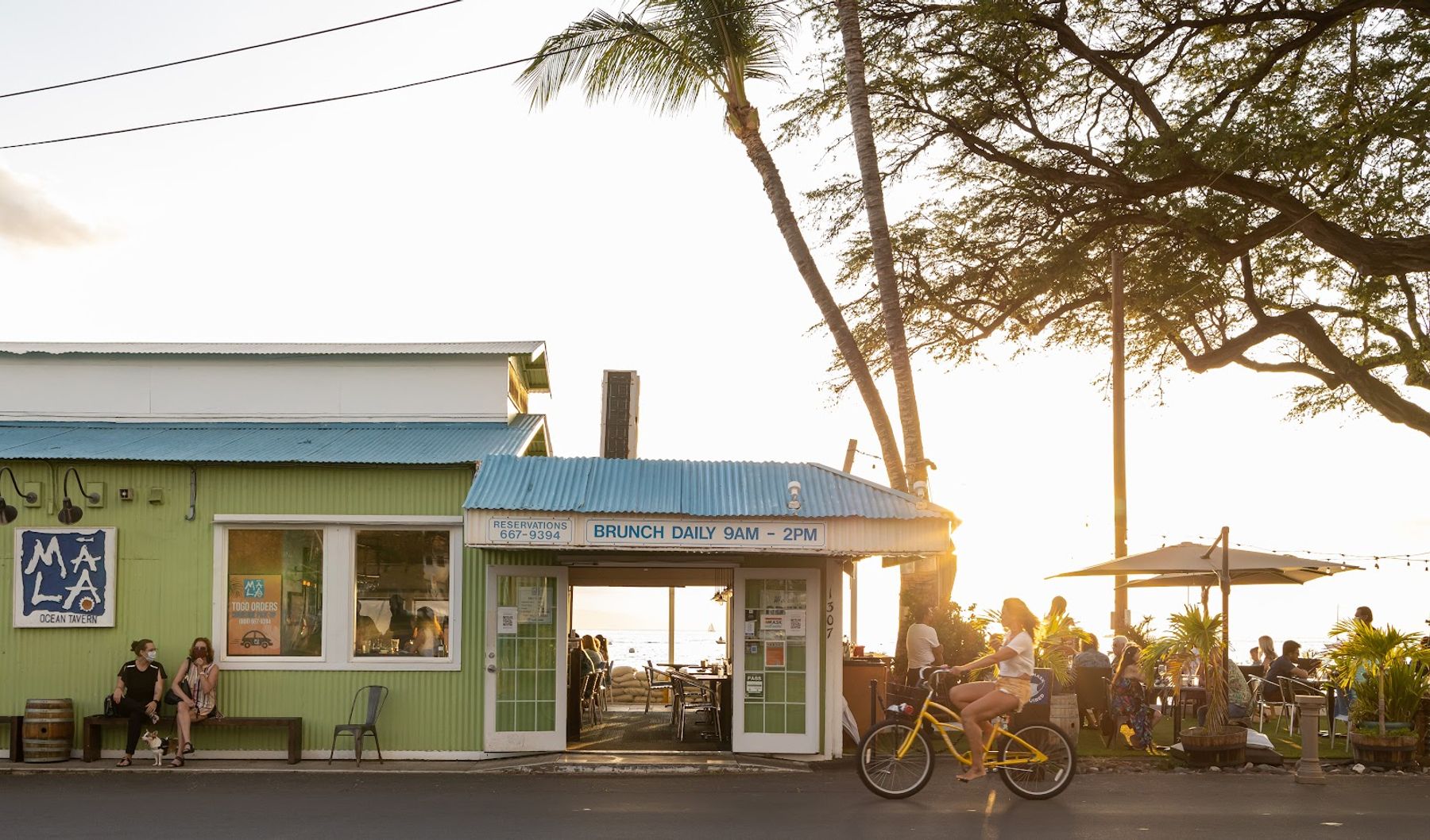 Photo 4 of Mala Ocean Tavern in Lāhainā, Maui
