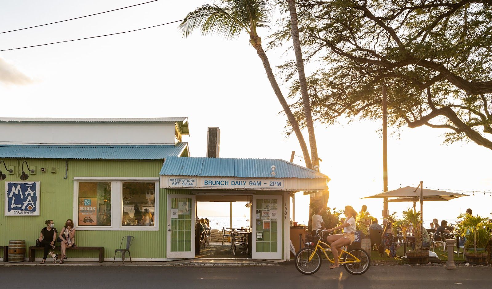Photo 4 of Mala Ocean Tavern in Lāhainā, Maui