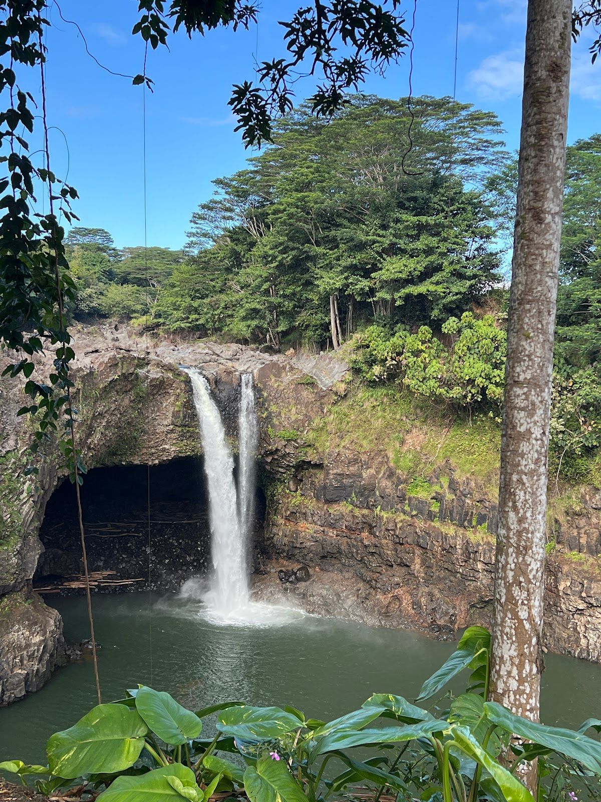 Photo 7 of Show You Hawaii in Kailua-Kona, Big Island