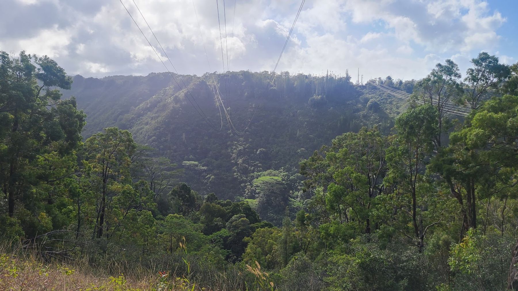 Photo 5 of Waimano Falls in Pearl City, Oahu