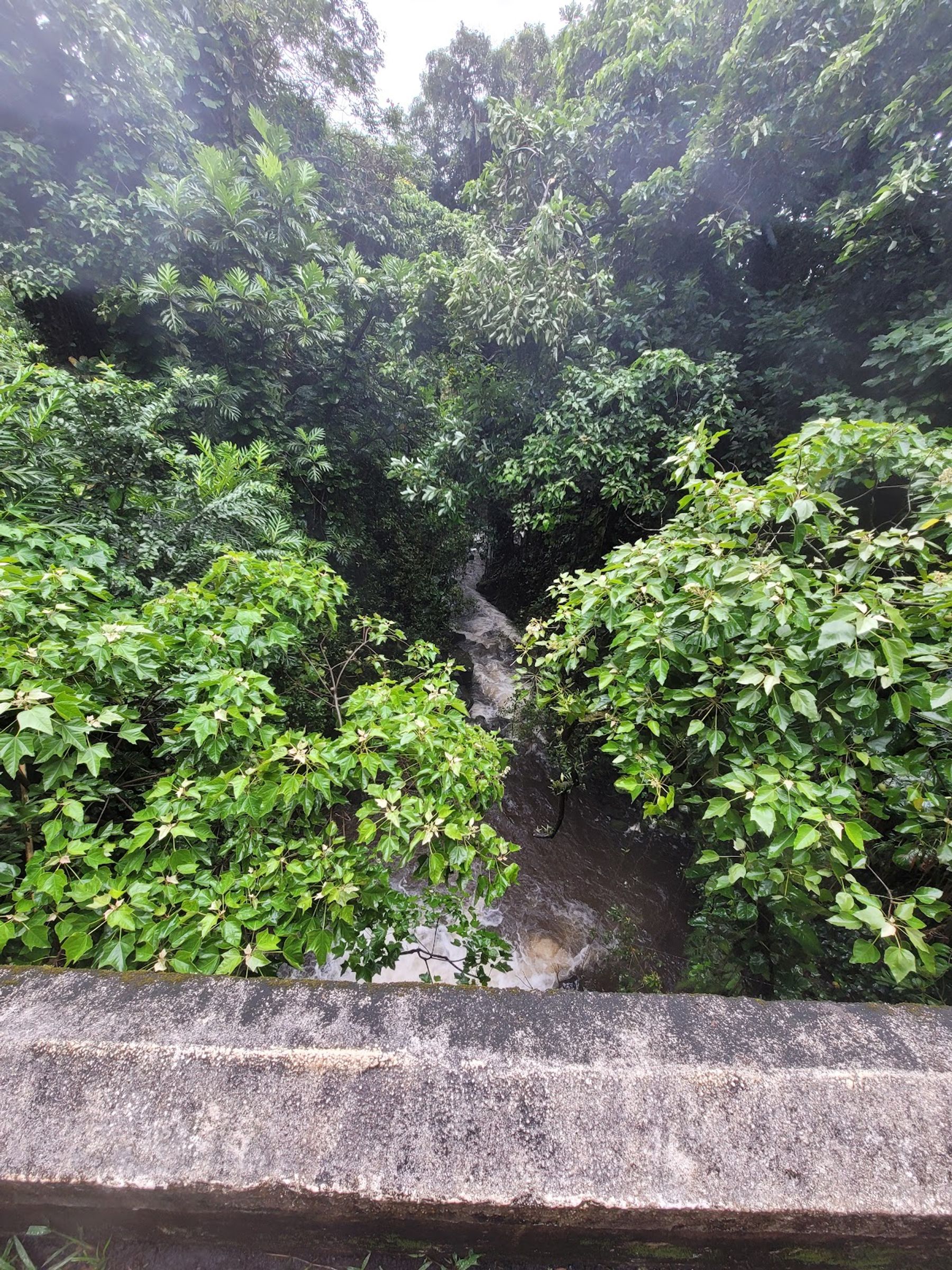 Photo 6 of Wailua Falls in Kīpahulu & Kaupō, Maui