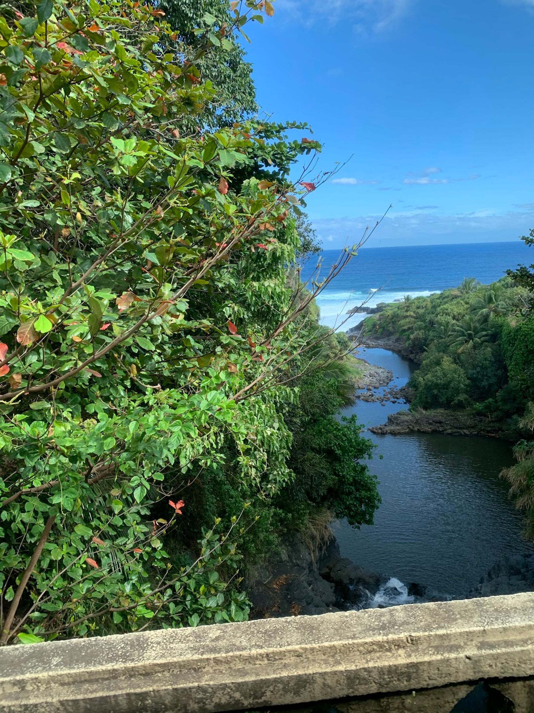 Photo 1 of Polynesian Adventure Tours in Kahului, Maui
