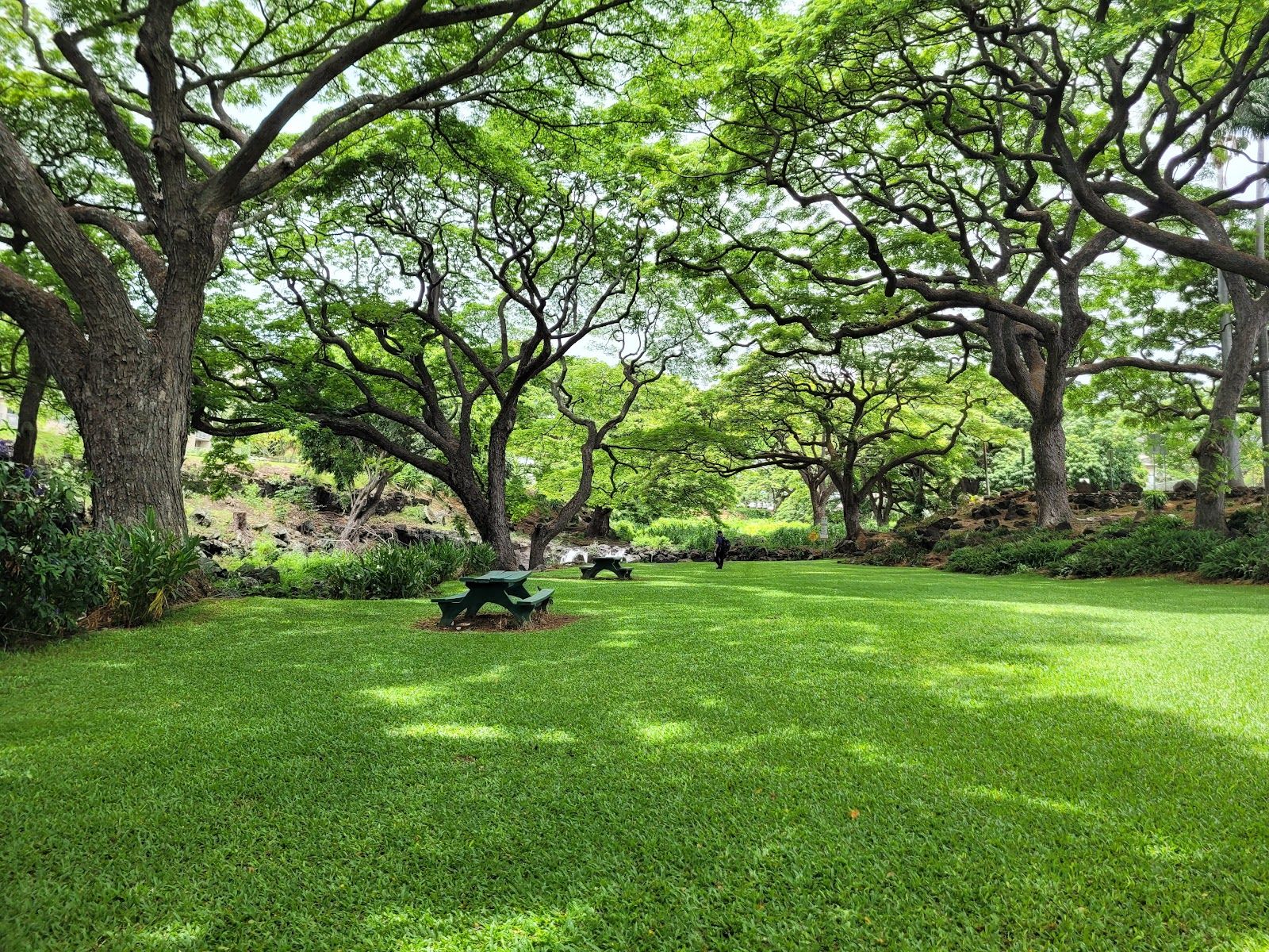 Photo 2 of Liliʻuokalani Botanical Garden in Mānoa, Makiki & Nuʻuanu, Oahu