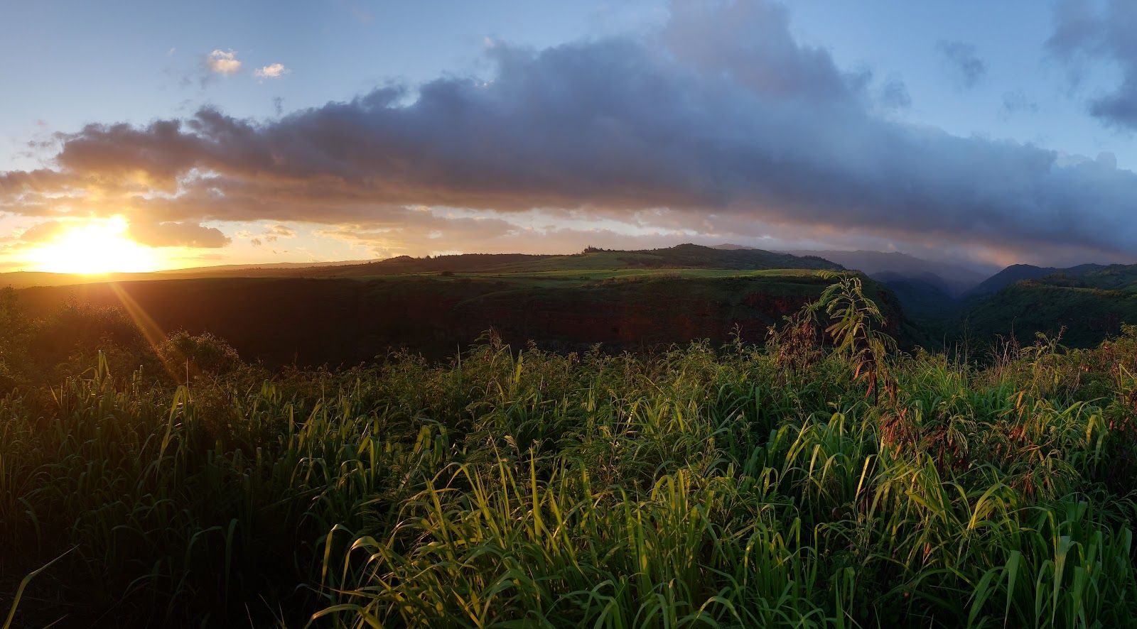 Hanapepe Valley Lookout in Kalaheo, Kaua‘i photo 3