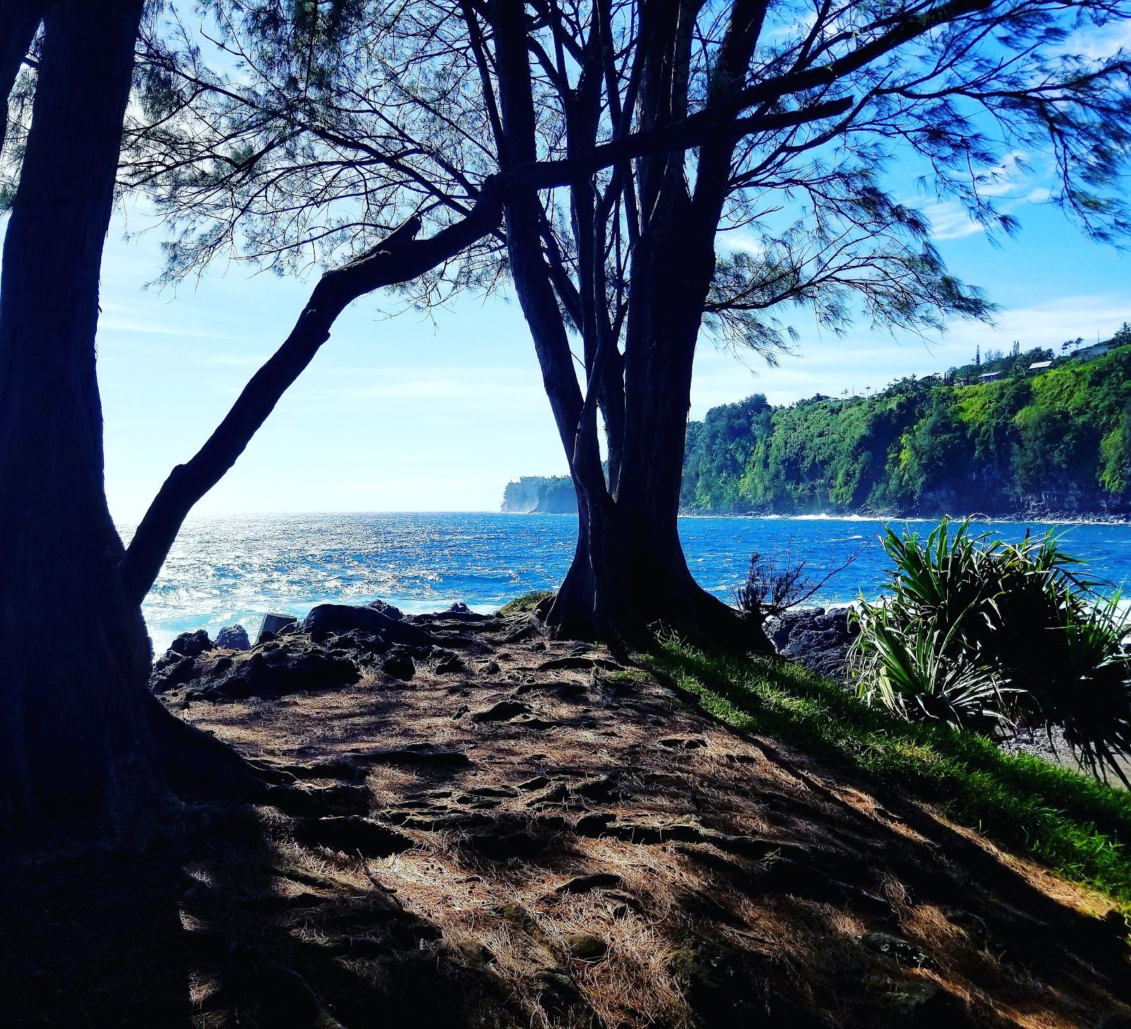 Photo 9 of Laupāhoehoe Lookout in Laupāhoehoe, Big Island