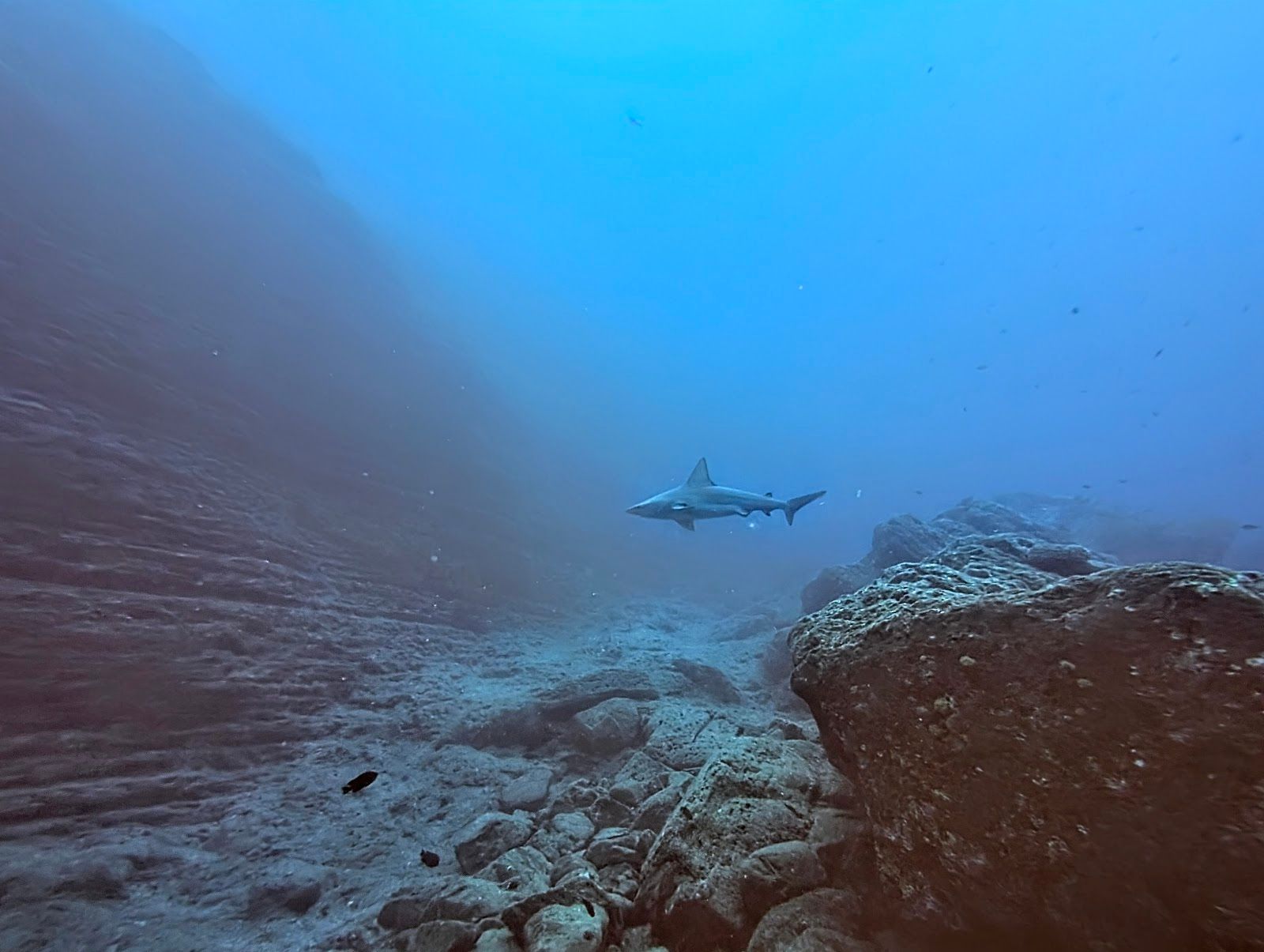 Explore Kauai Scuba in Kekaha, Kaua‘i photo 6