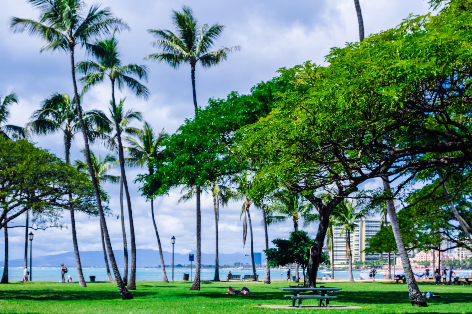Photo 2 of Kapiʻolani Regional Park in Diamond Head & Kapahulu, Oahu