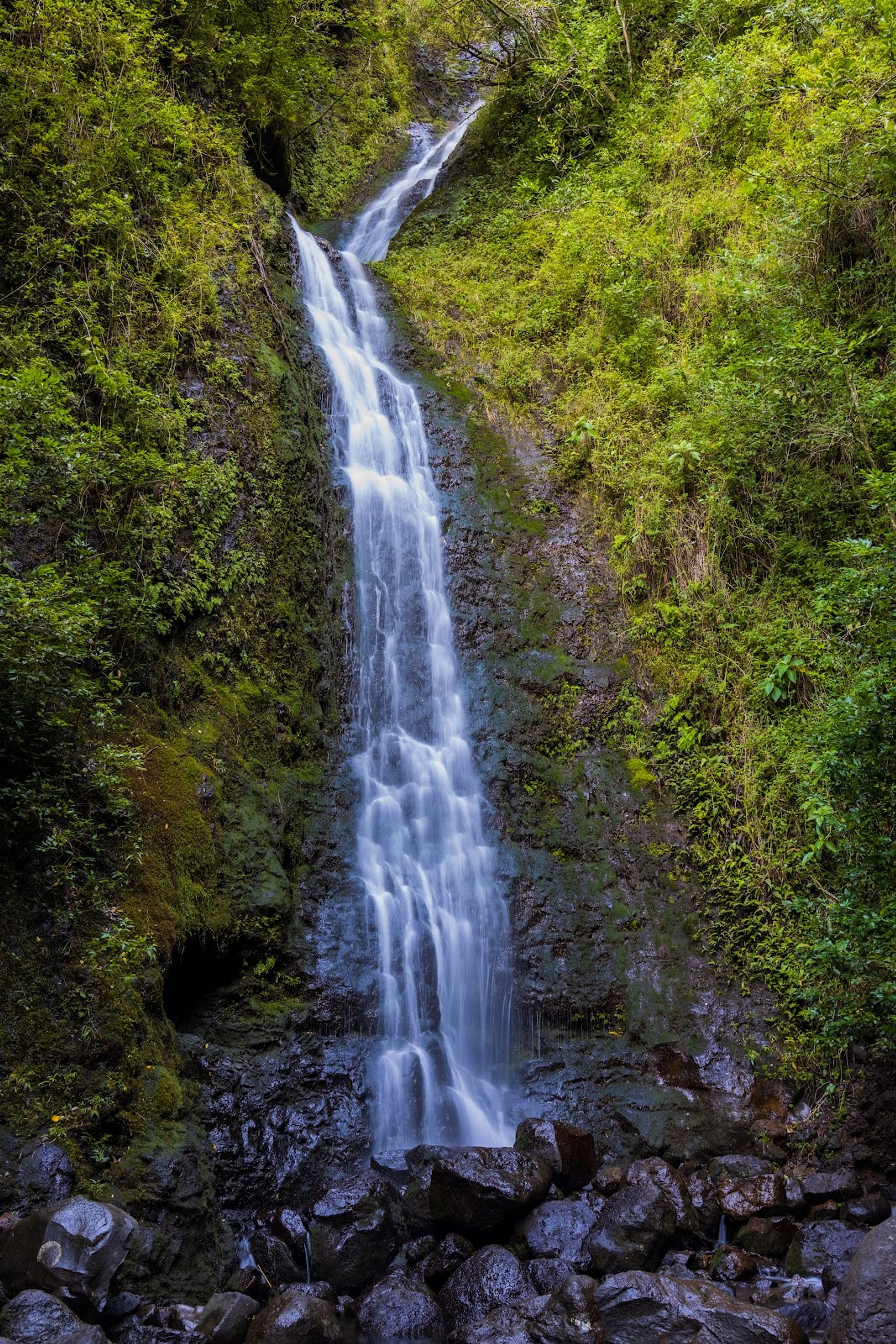 Photo 1 of Lulumahu Falls in Mānoa, Makiki & Nuʻuanu, Oahu