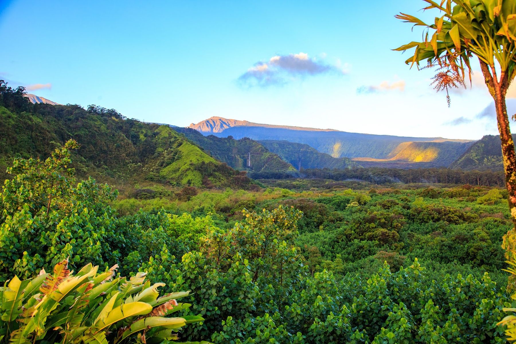 Photo 1 of Wailua Valley State Wayside in Keʻanae-Nāhiku, Maui
