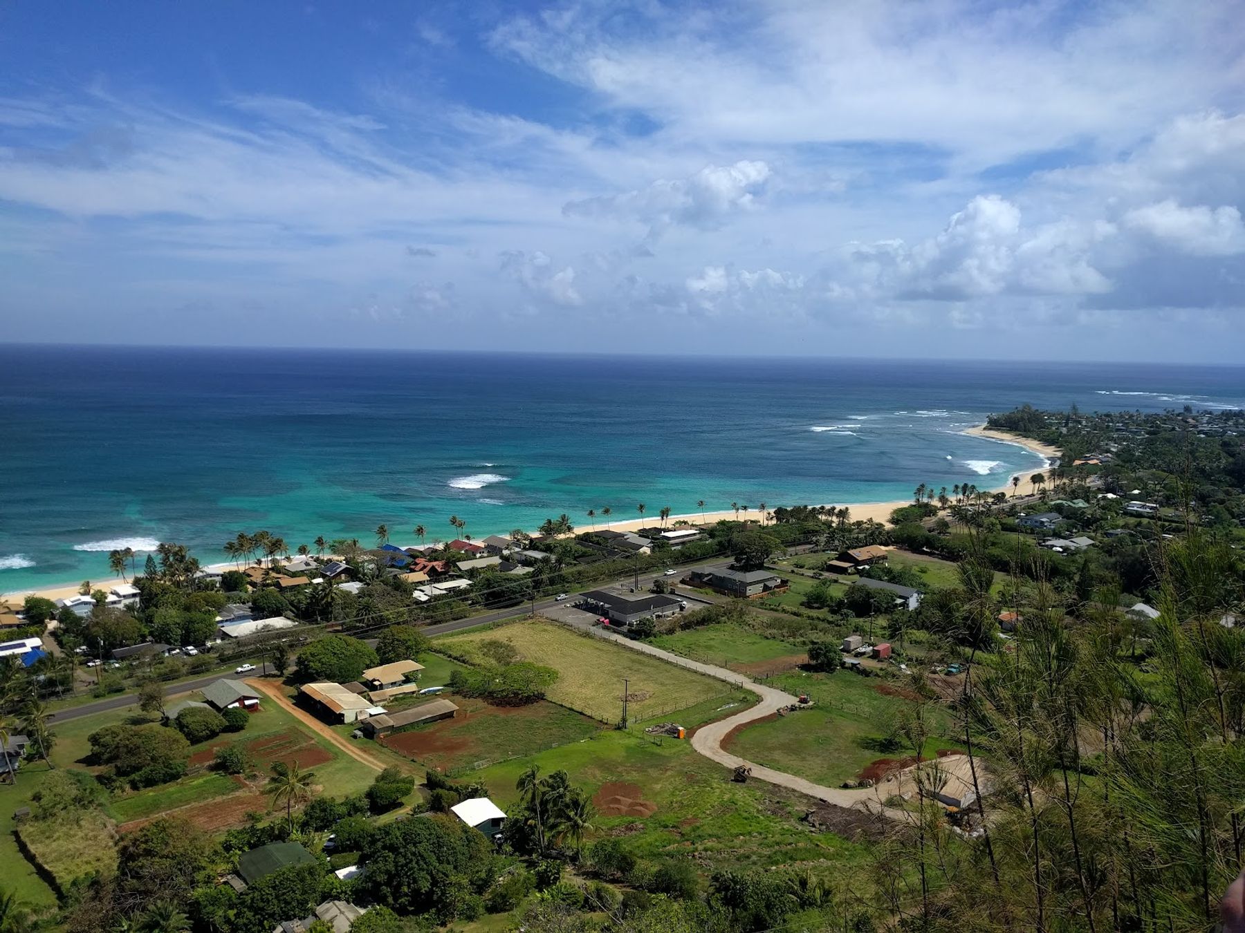Photo 7 of ʻEhukai Pillbox Trail in Pūpūkea, Oahu