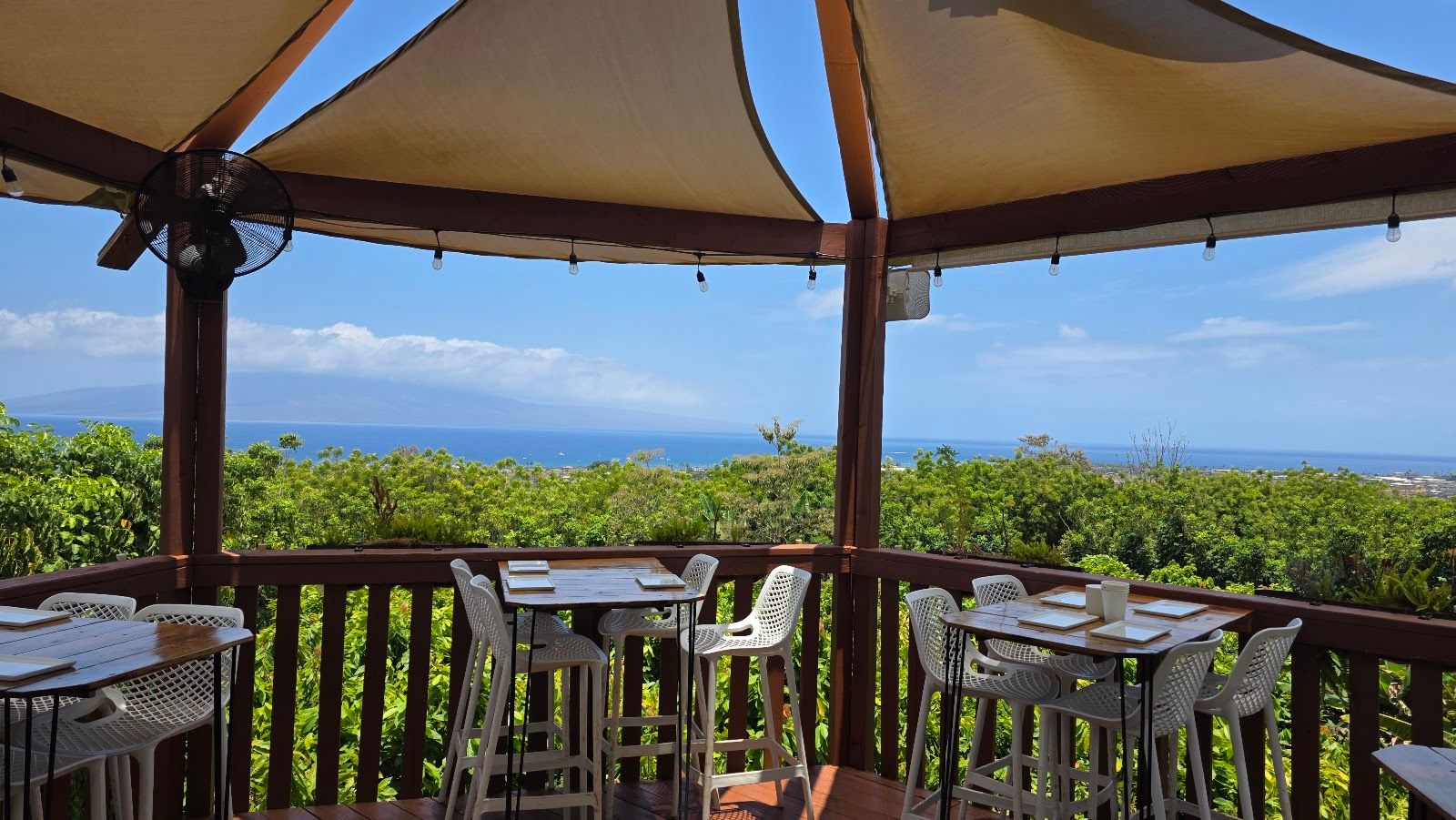 Photo 7 of Maui Chocolate Tour in Lāhainā, Maui