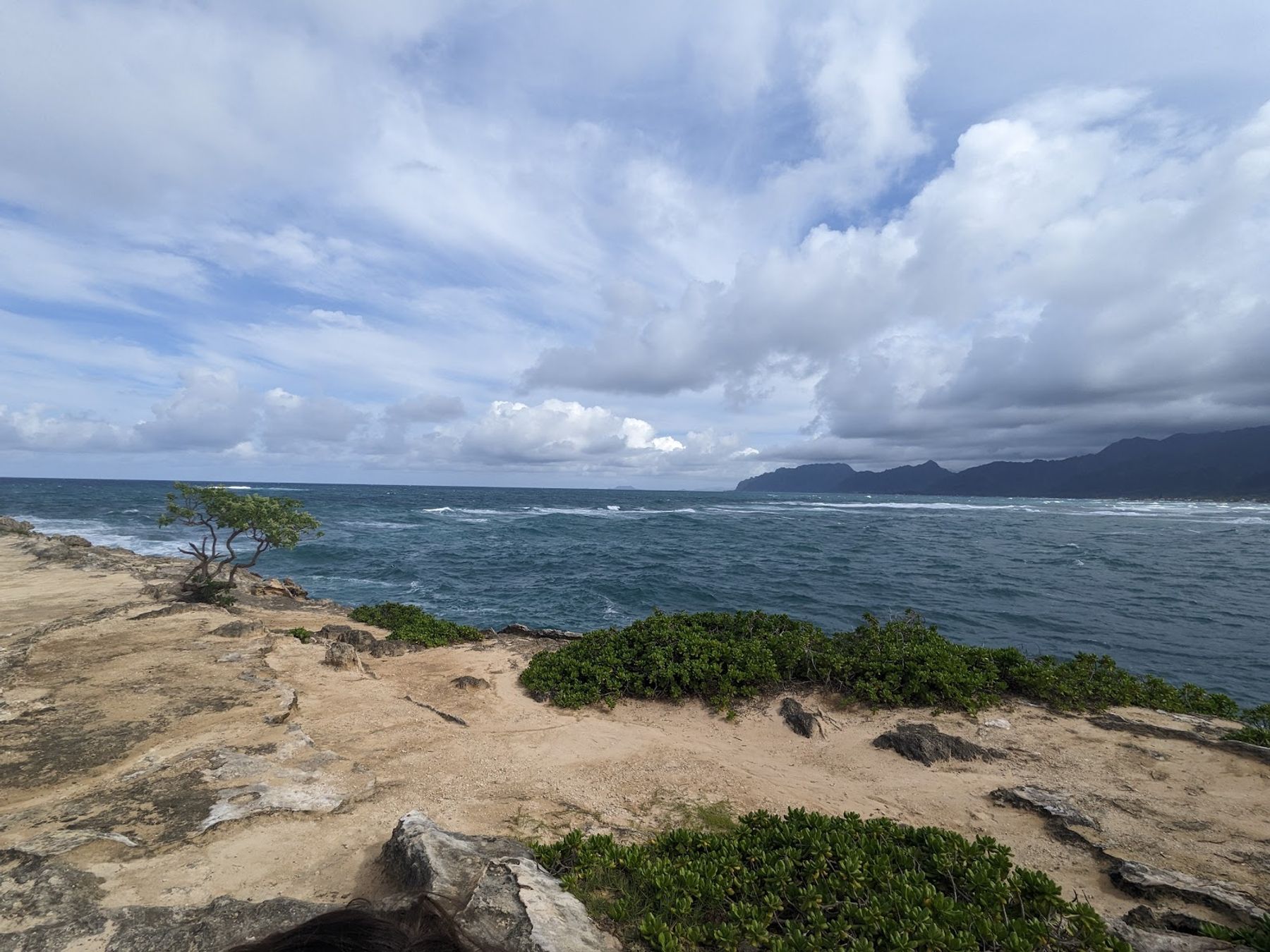 Photo 7 of Lāʻie Point State Wayside in Lāʻie, Oahu