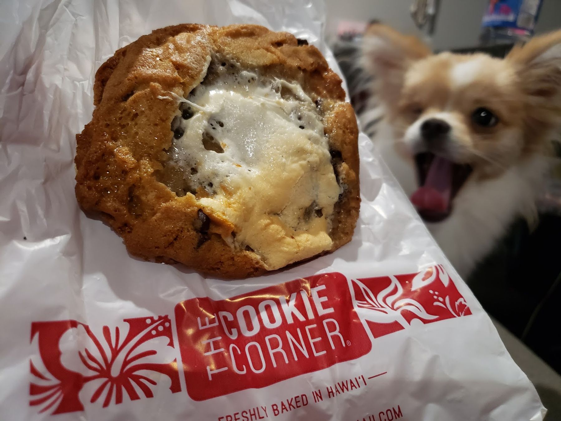 Photo 7 of Cookie Corner in Mililani, Oahu