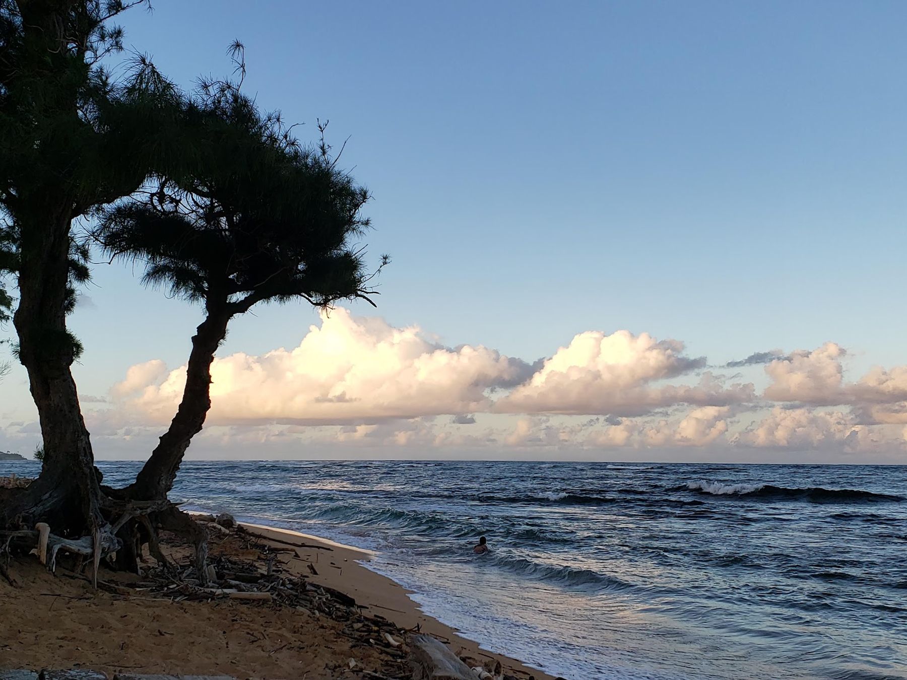 Fujii Beach in Kapaʻa, Kaua‘i photo 4