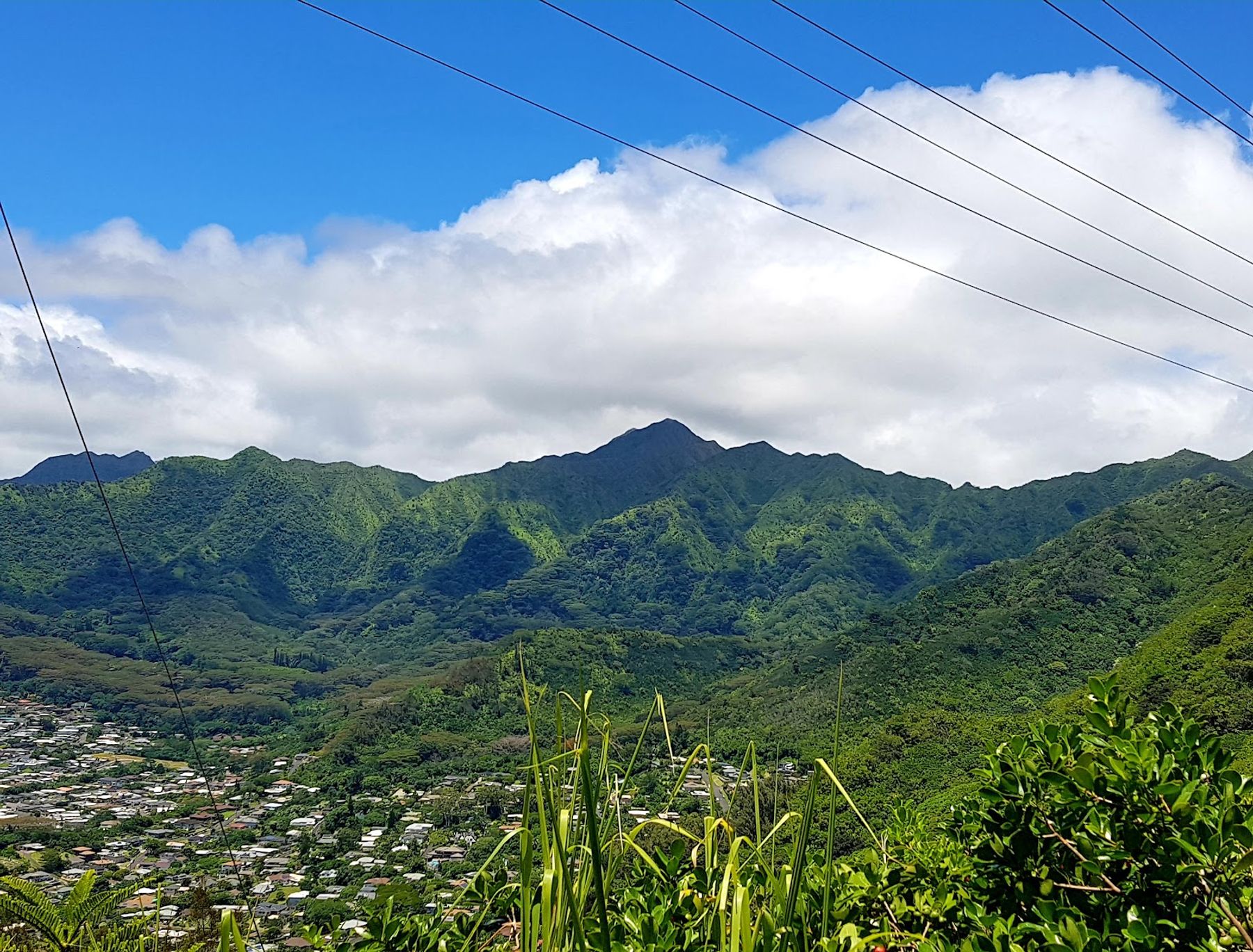 Photo 6 of Waʻahila Ridge State Recreation Area in Mānoa, Makiki & Nuʻuanu, Oahu