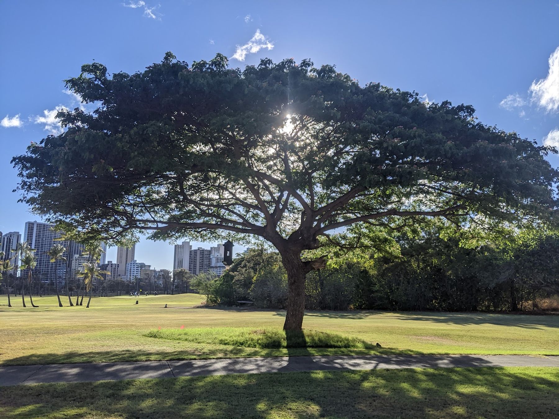 Photo 9 of Ala Wai Golf Course in Diamond Head & Kapahulu, Oahu