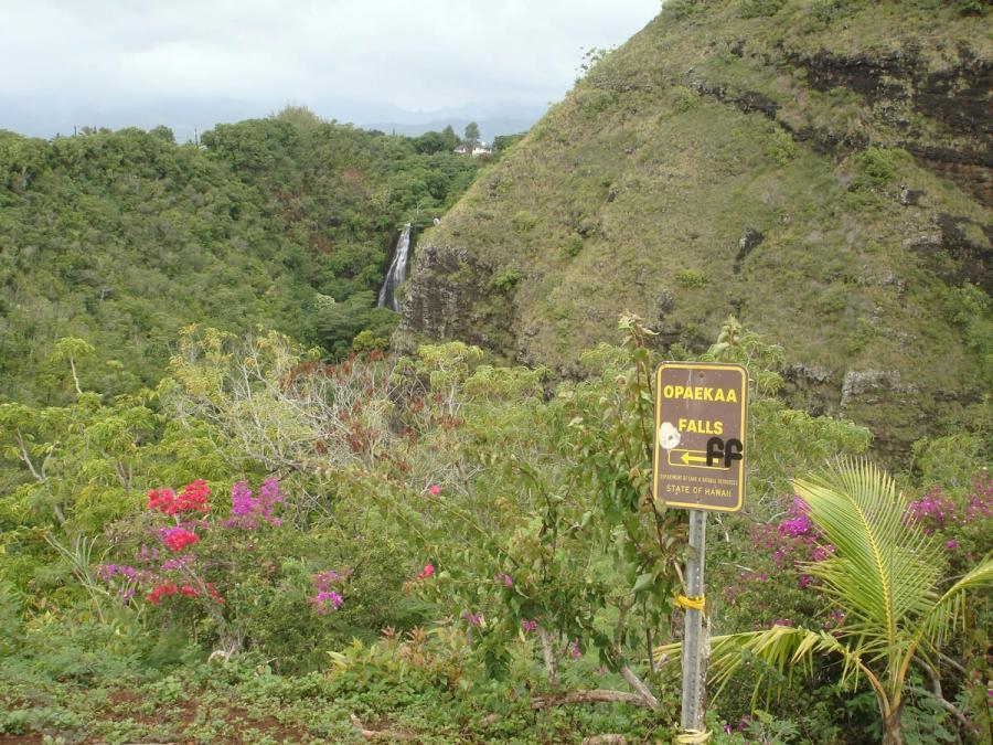 Opaeka'a Falls in Wailua Homesteads, Kaua‘i