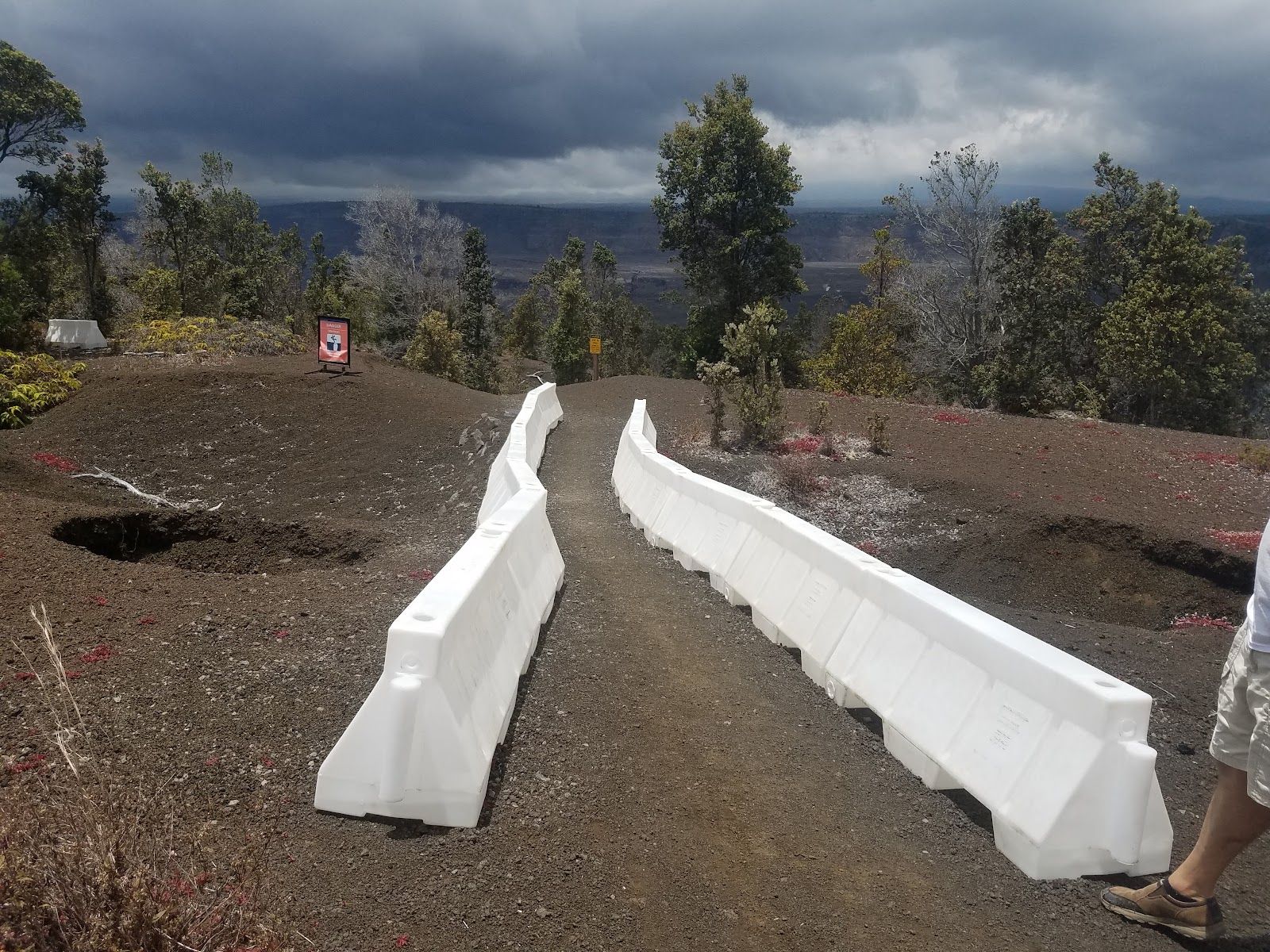 Photo 10 of Byron Ledge Trail in Volcano, Big Island
