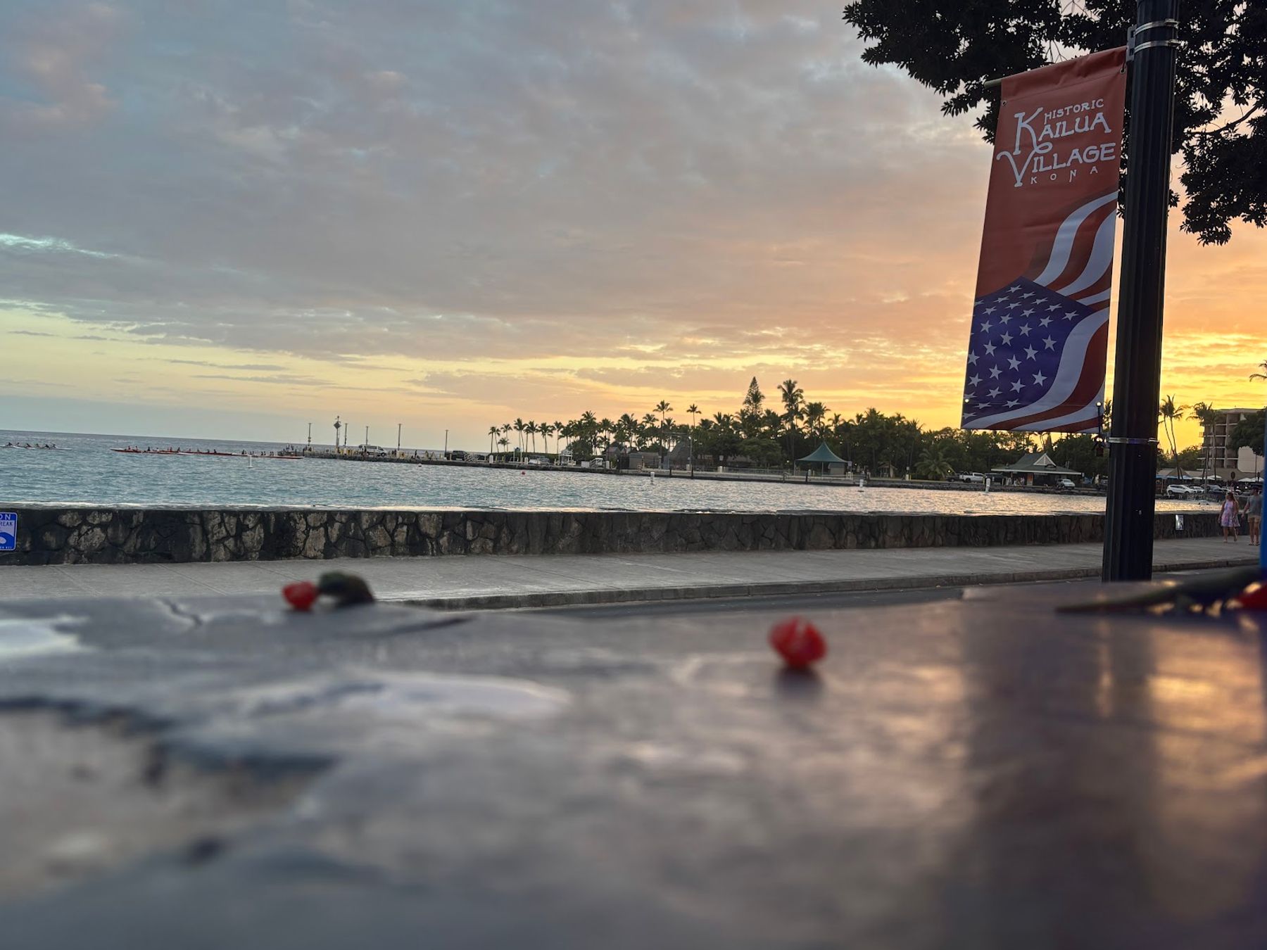 Photo 7 of Da Shark Shack in Kailua-Kona, Big Island