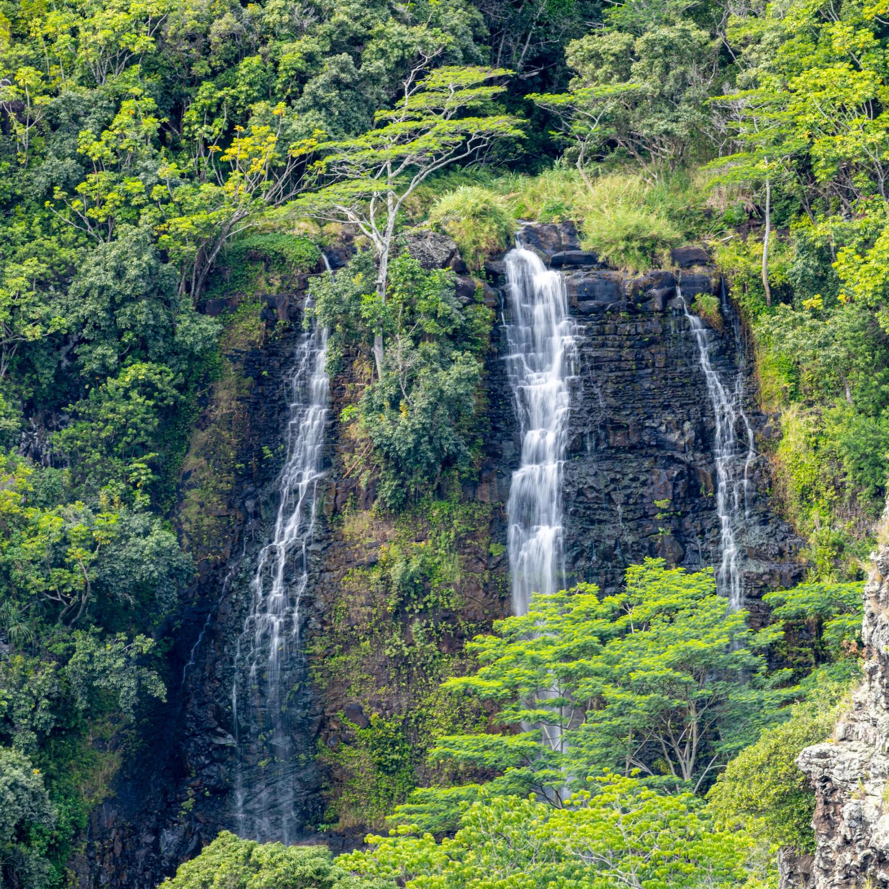Several narrow waterfalls cascading down a dark cliff surrounded by dense tropical forest and bright green canopy